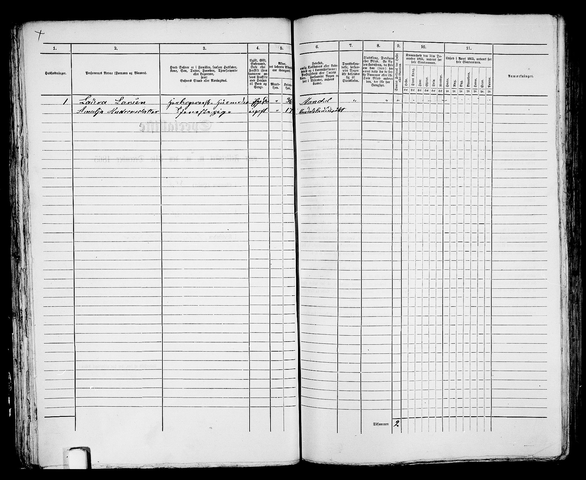 RA, 1865 census for Mandal/Mandal, 1865, p. 524