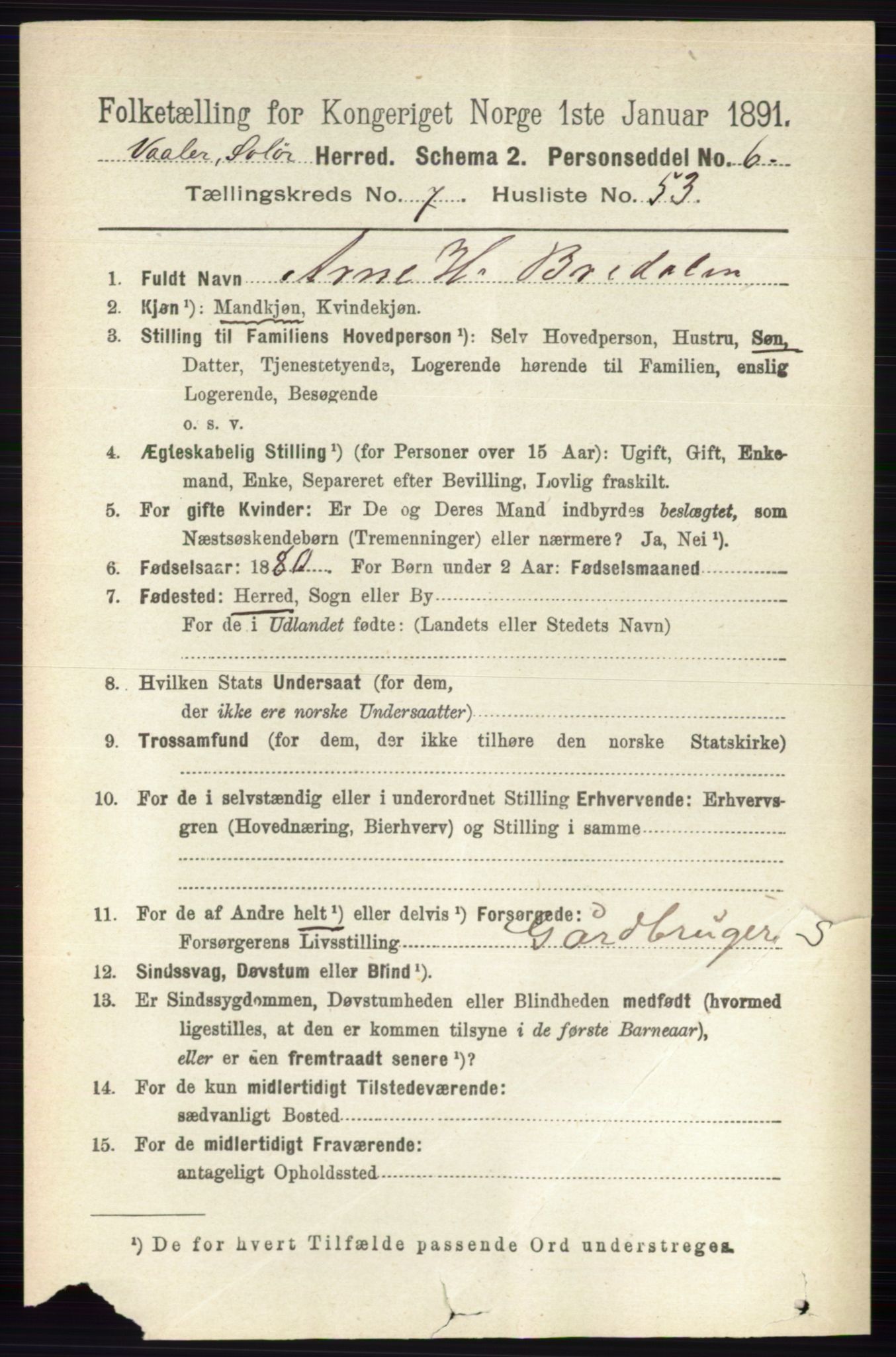 RA, 1891 census for 0426 Våler, 1891, p. 3251