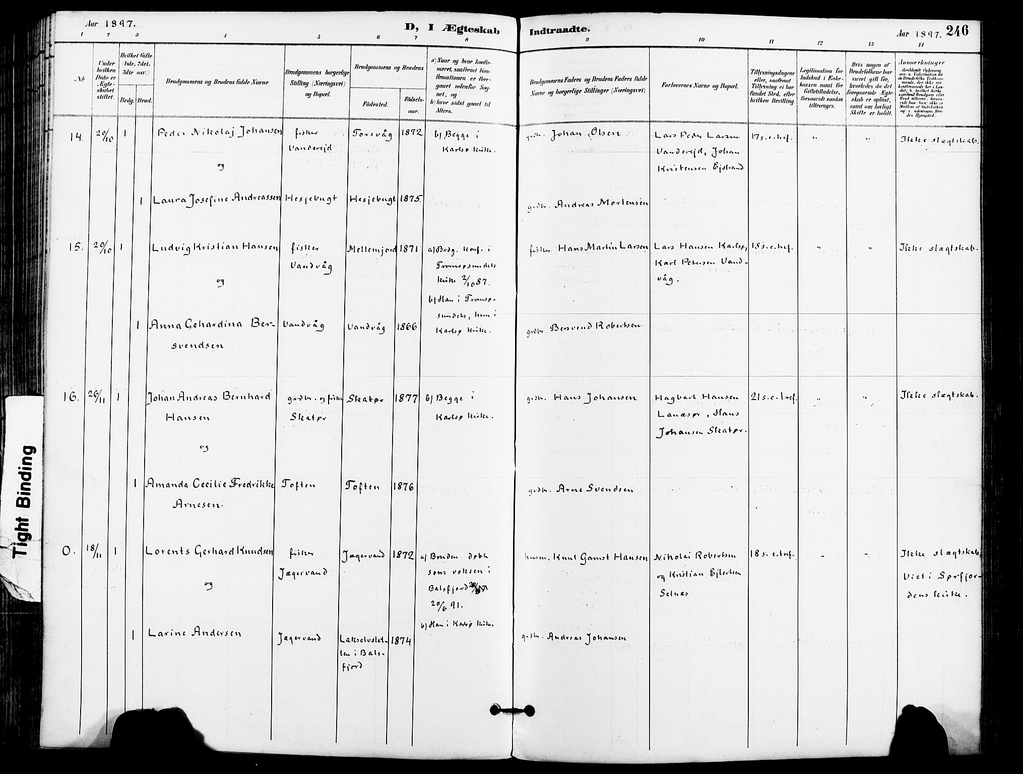 Karlsøy sokneprestembete, AV/SATØ-S-1299/H/Ha/Haa/L0007kirke: Parish register (official) no. 7, 1891-1902, p. 246