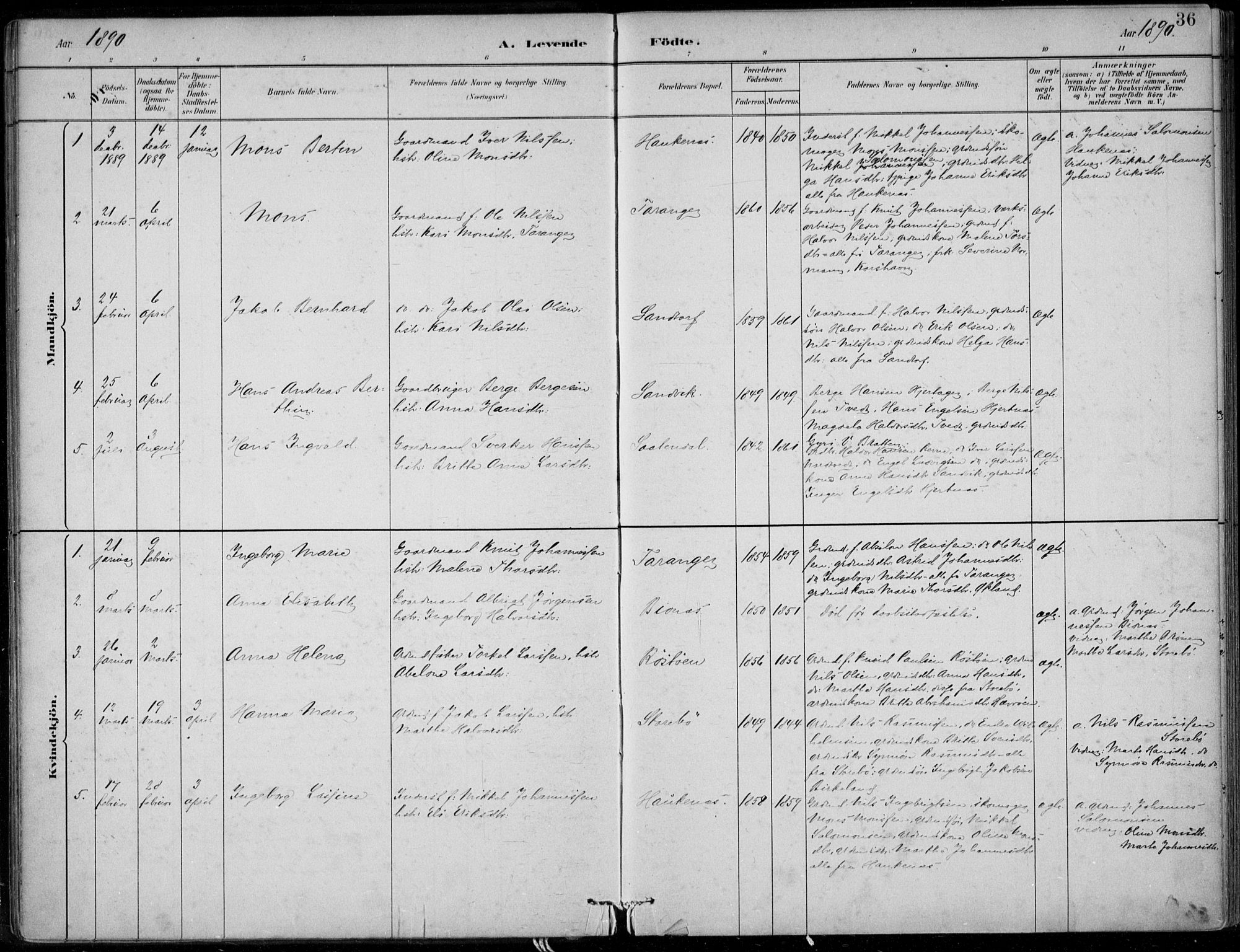 Sund sokneprestembete, SAB/A-99930: Parish register (official) no. C  1, 1882-1899, p. 36