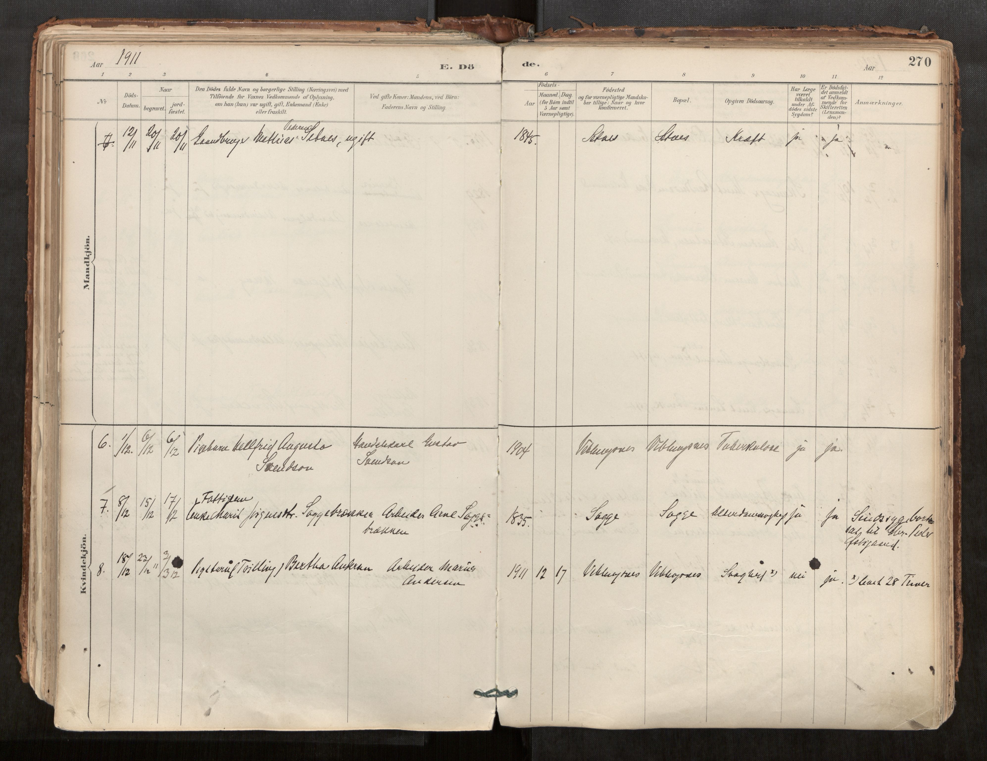 Ministerialprotokoller, klokkerbøker og fødselsregistre - Møre og Romsdal, AV/SAT-A-1454/544/L0585: Parish register (official) no. 544A06, 1887-1924, p. 270