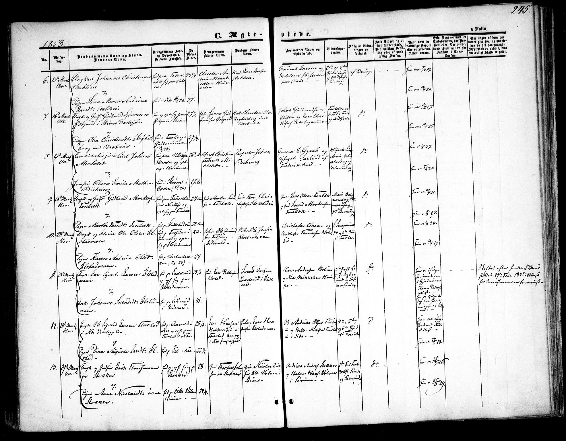 Ullensaker prestekontor Kirkebøker, SAO/A-10236a/F/Fa/L0015.a: Parish register (official) no. I 15A, 1851-1862, p. 245