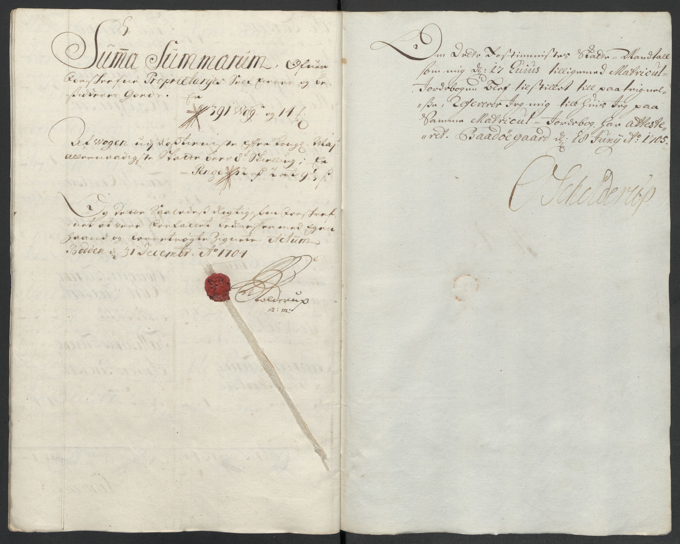 Rentekammeret inntil 1814, Reviderte regnskaper, Fogderegnskap, RA/EA-4092/R66/L4580: Fogderegnskap Salten, 1701-1706, p. 290