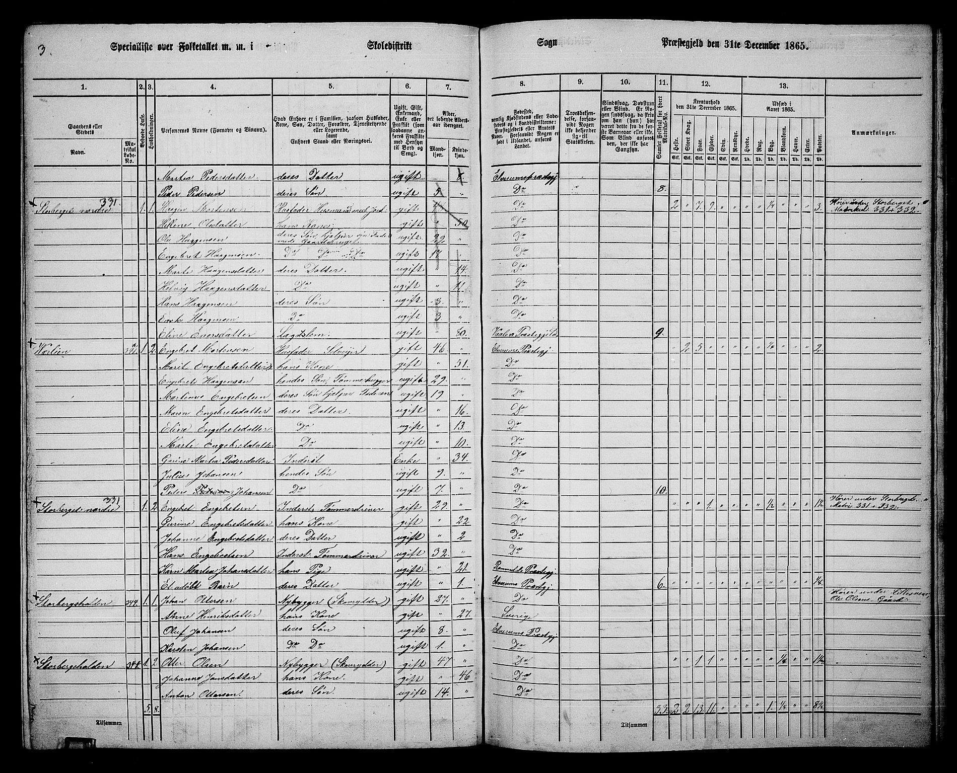 RA, 1865 census for Elverum, 1865, p. 238