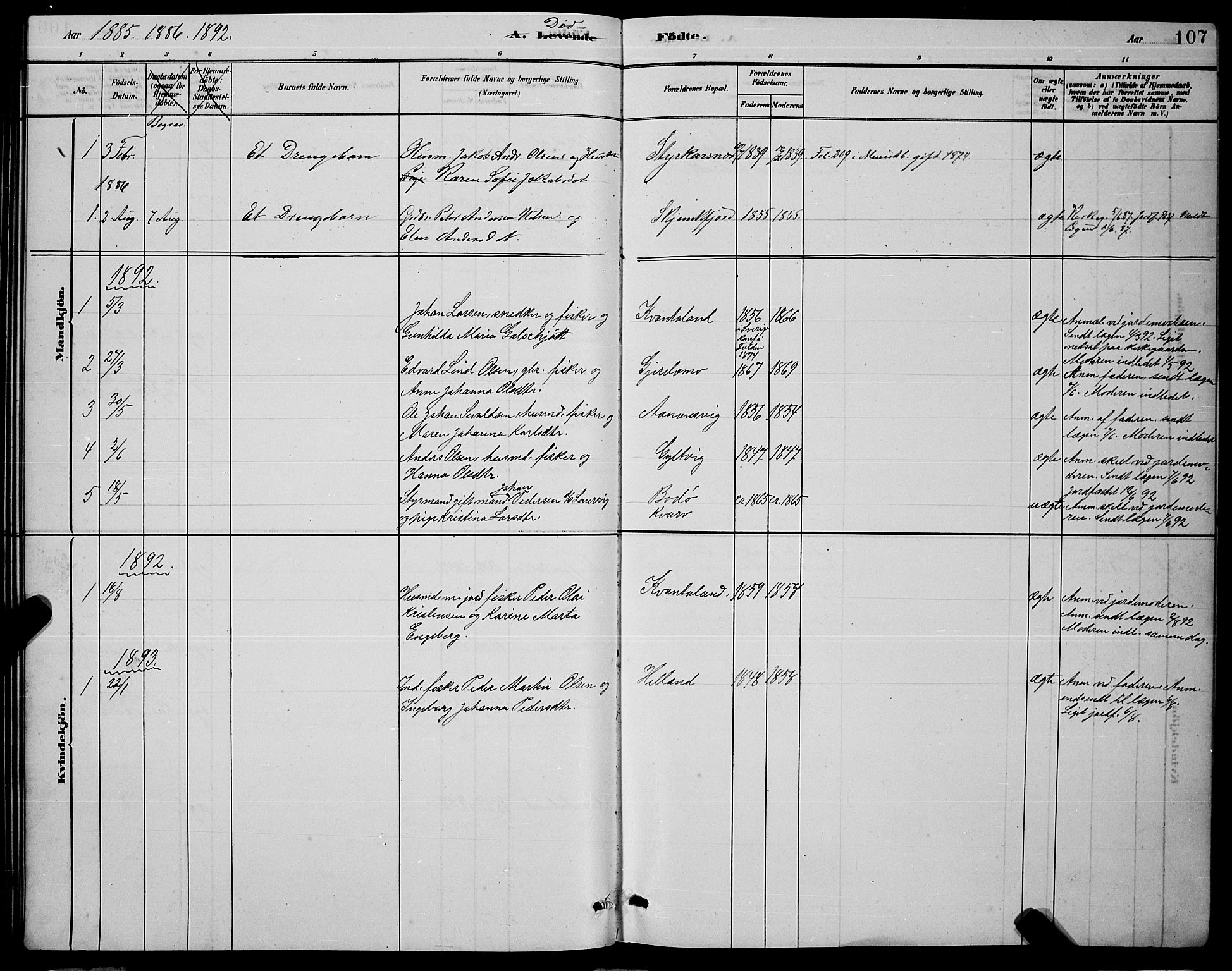 Ministerialprotokoller, klokkerbøker og fødselsregistre - Nordland, AV/SAT-A-1459/853/L0772: Parish register (official) no. 853A11, 1881-1900, p. 107