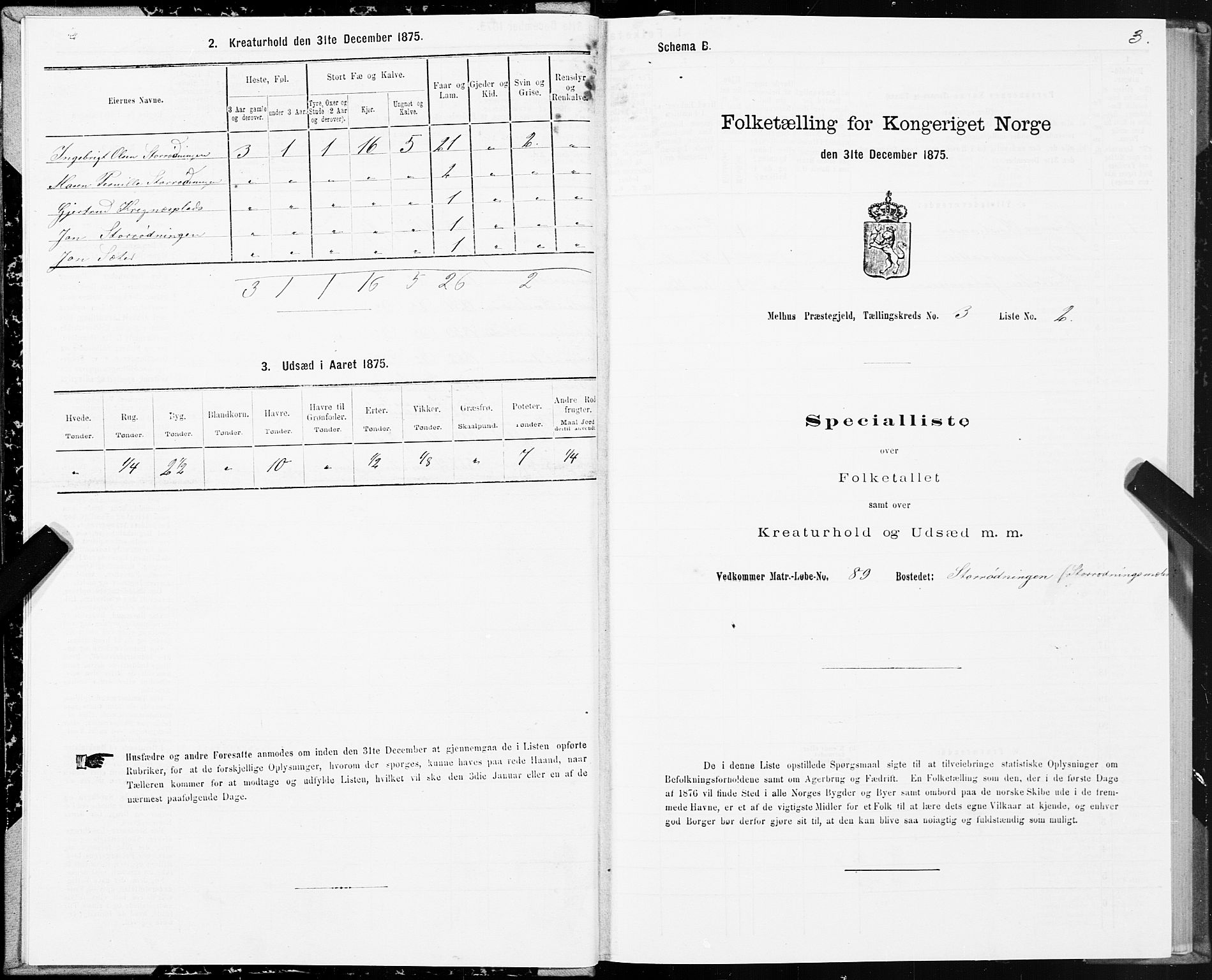 SAT, 1875 census for 1653P Melhus, 1875, p. 2003