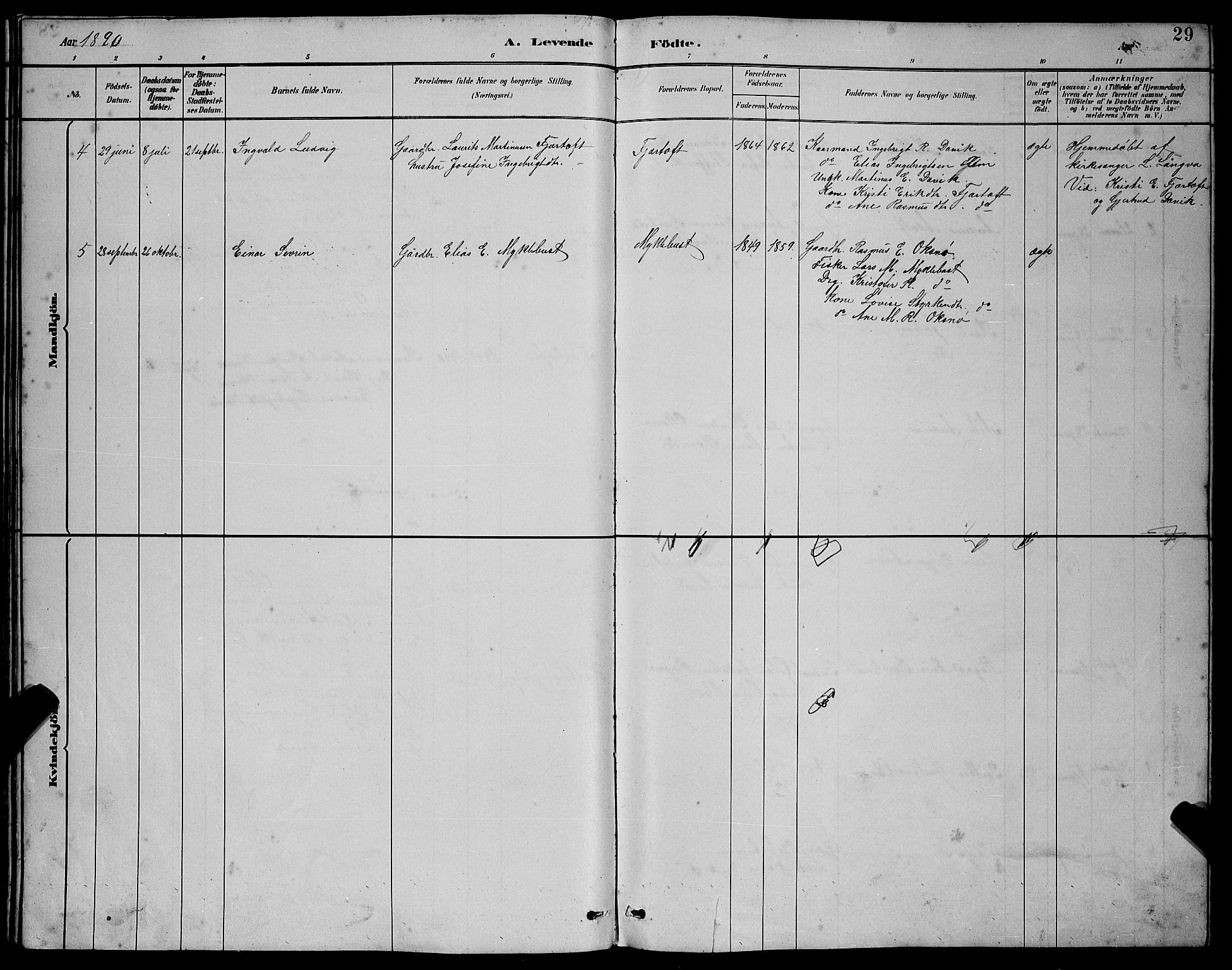 Ministerialprotokoller, klokkerbøker og fødselsregistre - Møre og Romsdal, AV/SAT-A-1454/538/L0523: Parish register (copy) no. 538C01, 1881-1900, p. 29