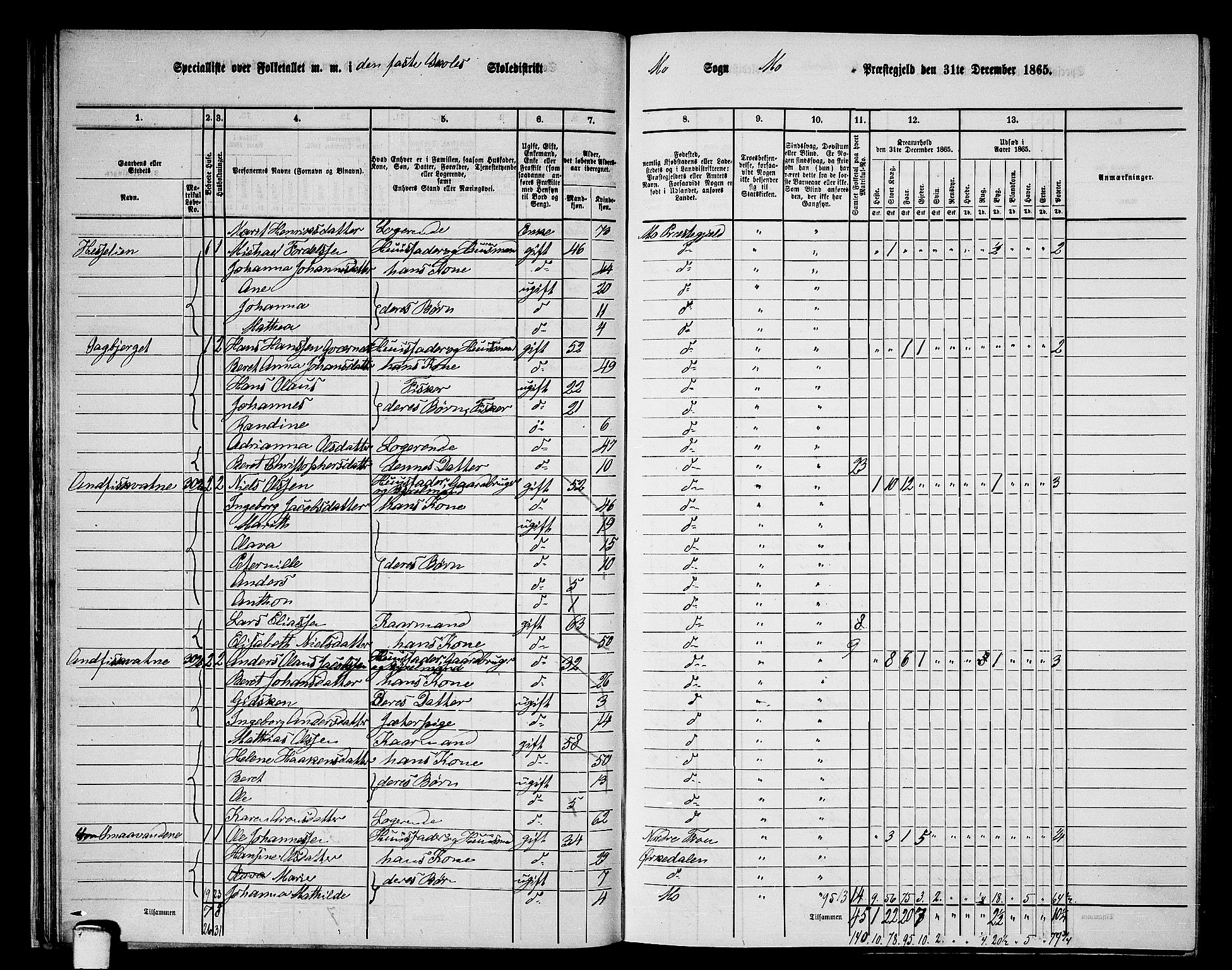 RA, 1865 census for Mo, 1865, p. 37