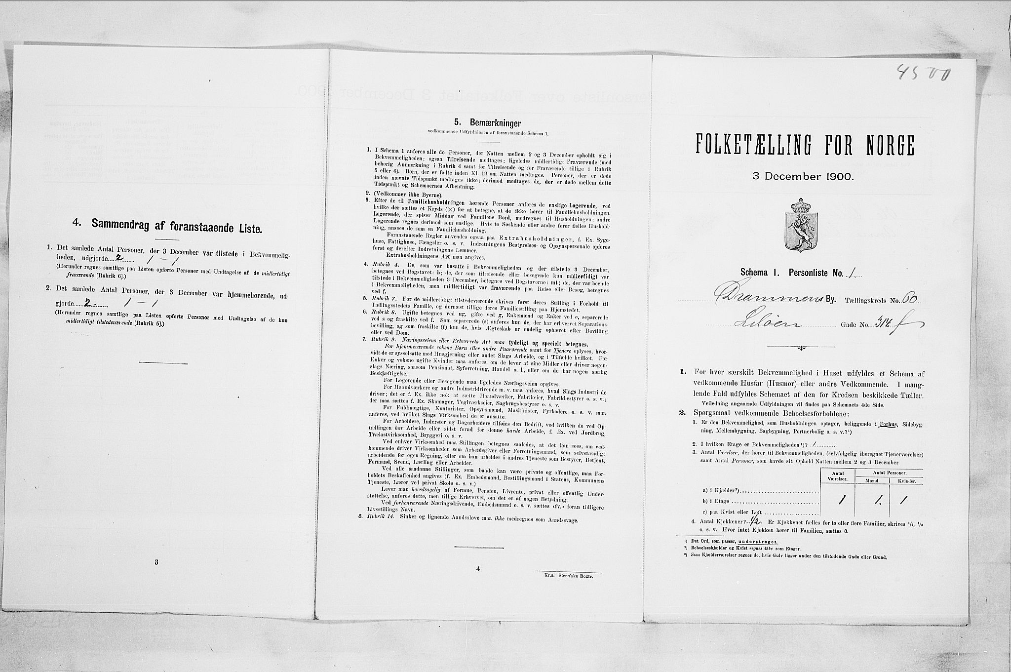 RA, 1900 census for Drammen, 1900, p. 10543