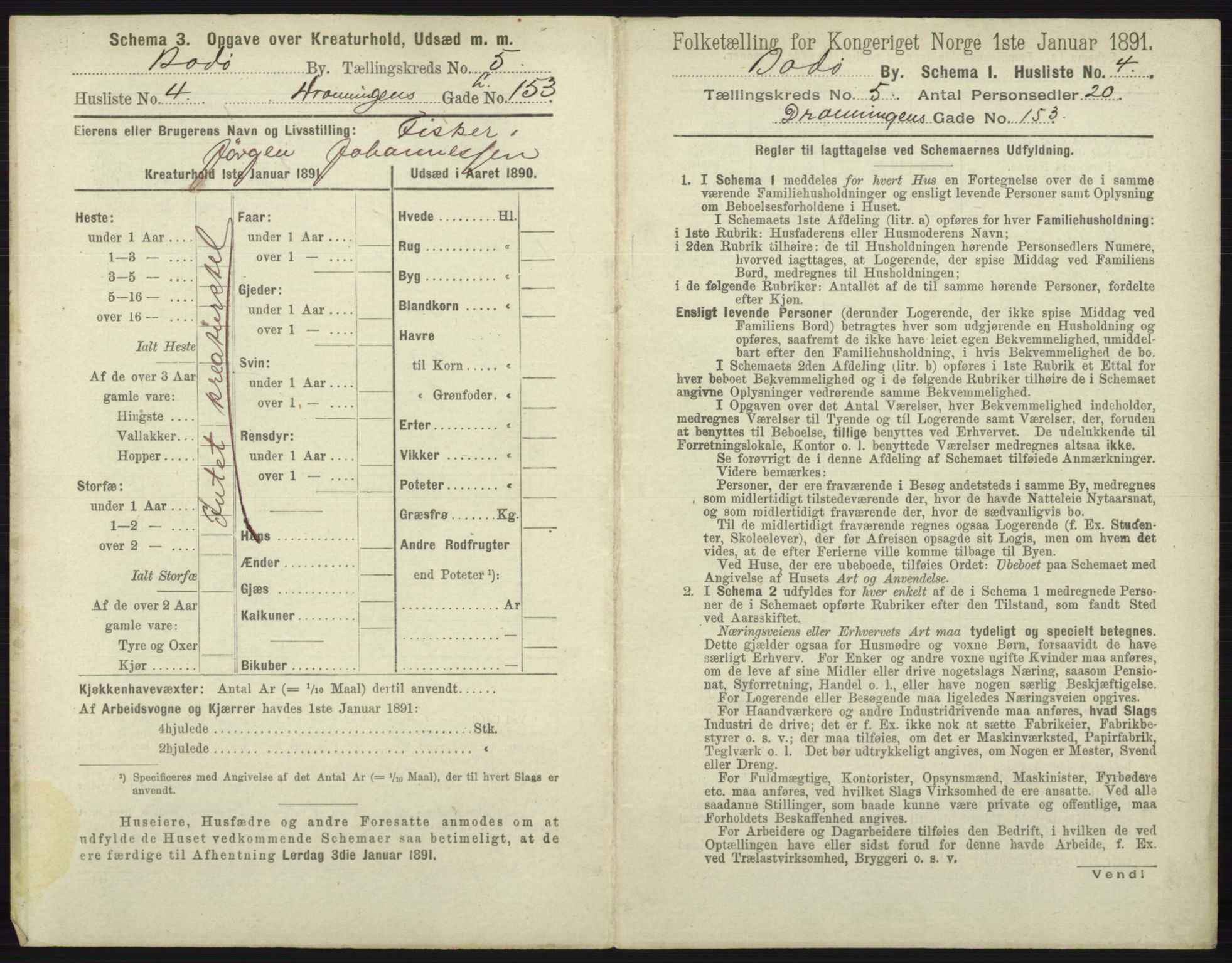 RA, 1891 census for 1804 Bodø, 1891, p. 3809