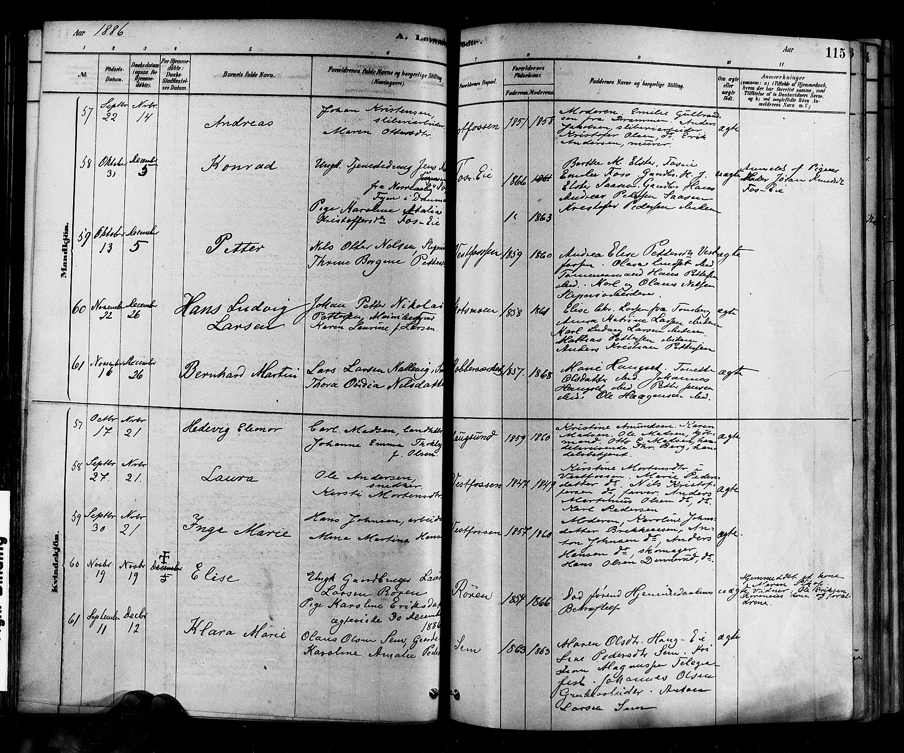 Eiker kirkebøker, AV/SAKO-A-4/F/Fb/L0001: Parish register (official) no. II 1, 1878-1888, p. 115