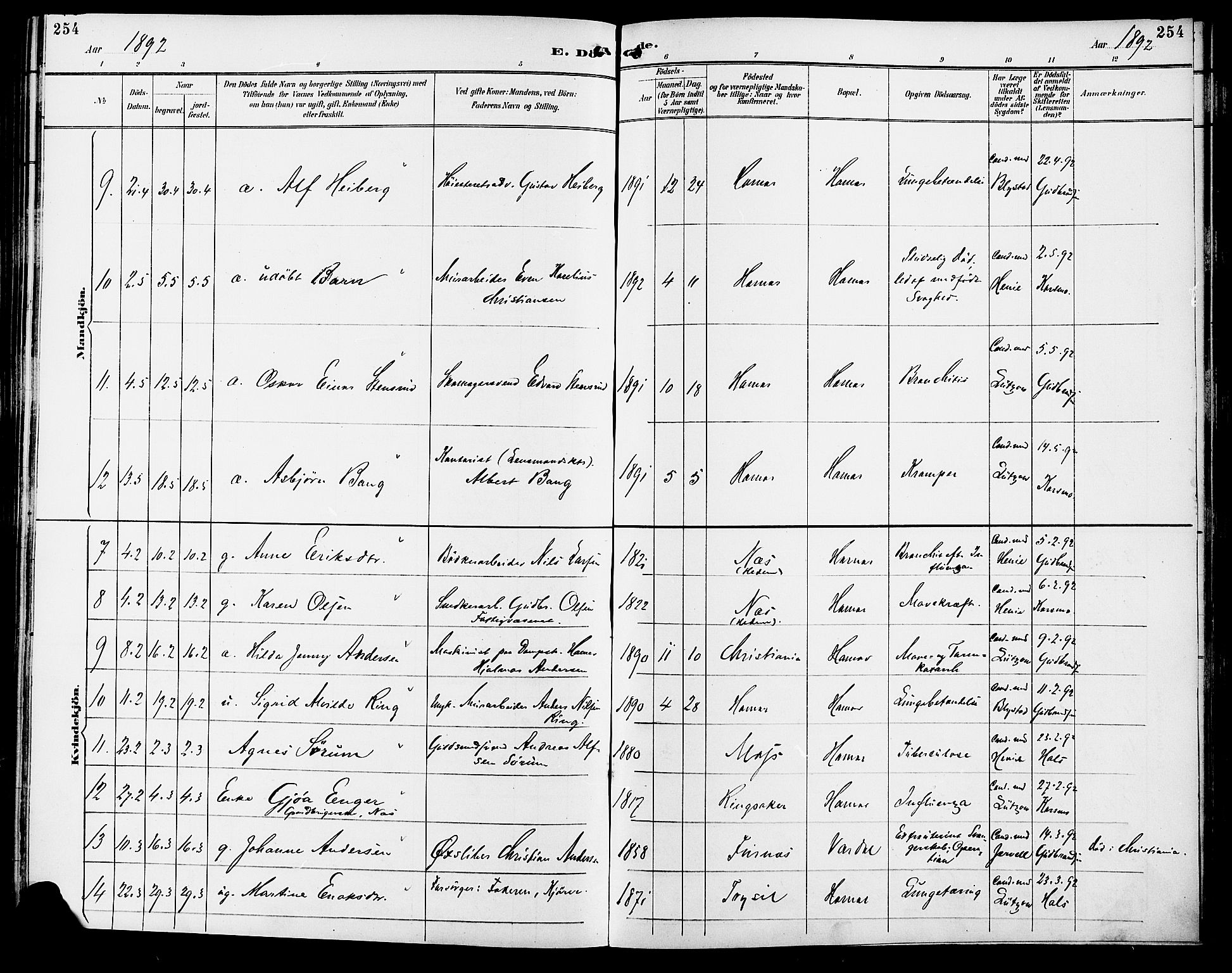 Vang prestekontor, Hedmark, AV/SAH-PREST-008/H/Ha/Haa/L0017: Parish register (official) no. 17, 1890-1899, p. 254