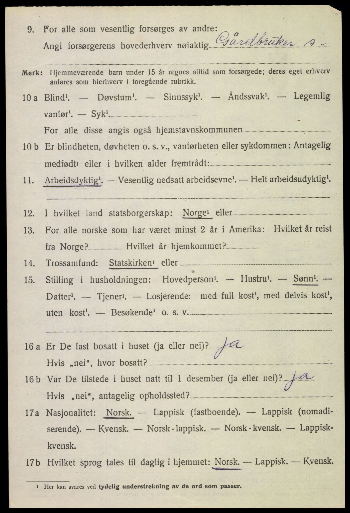 SAT, 1920 census for Bø, 1920, p. 2331