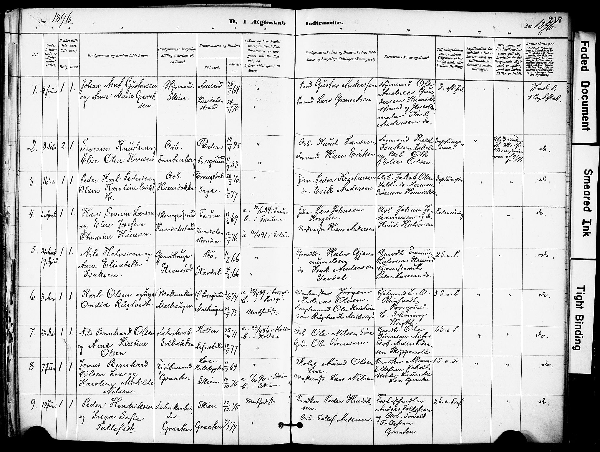 Solum kirkebøker, SAKO/A-306/F/Fa/L0010: Parish register (official) no. I 10, 1888-1898, p. 217