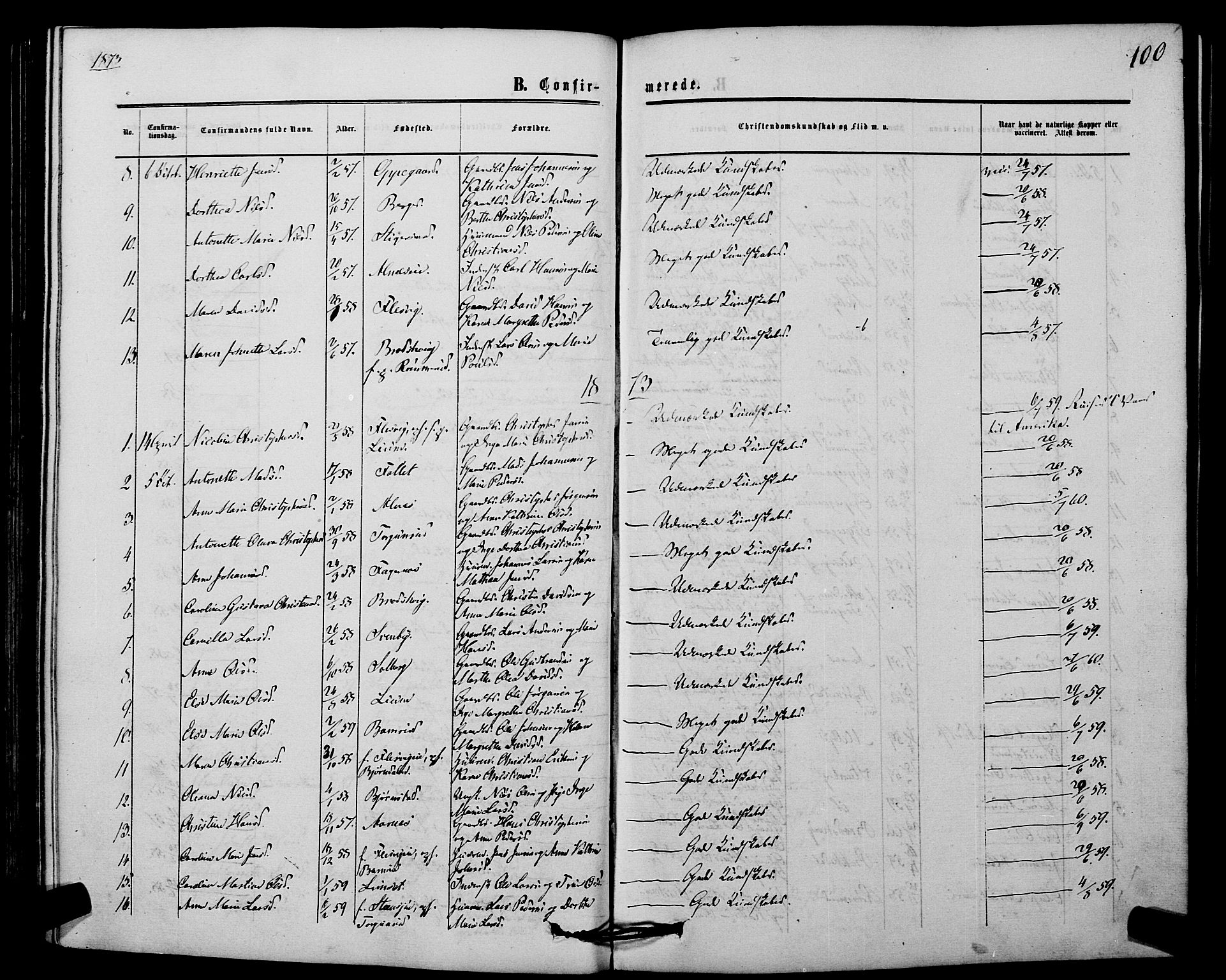 Hurdal prestekontor Kirkebøker, AV/SAO-A-10889/F/Fb/L0002: Parish register (official) no. II 2, 1860-1877, p. 100