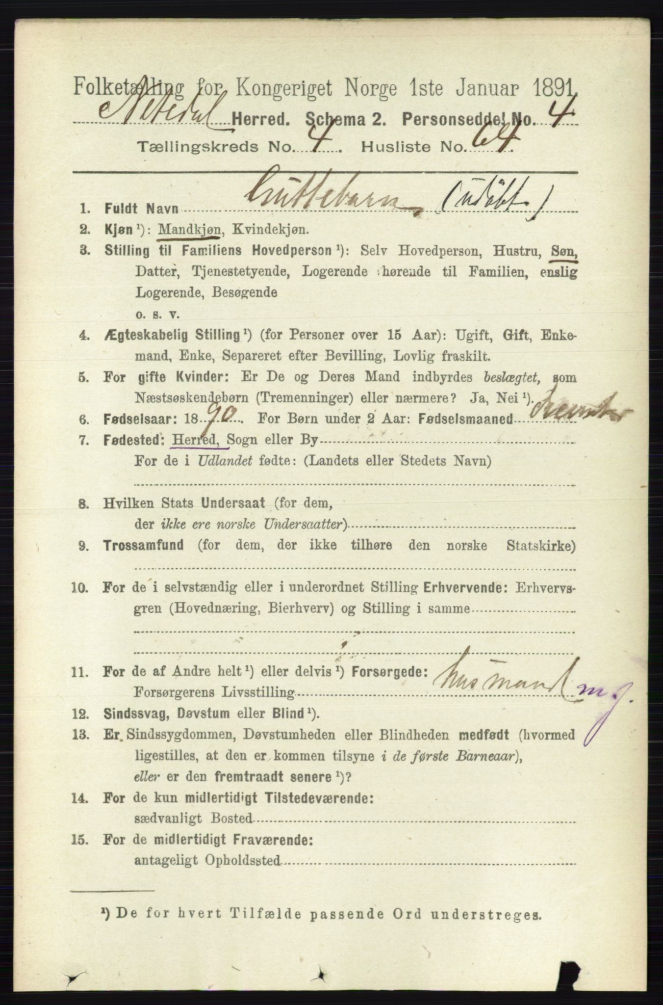 RA, 1891 census for 0233 Nittedal, 1891, p. 2051