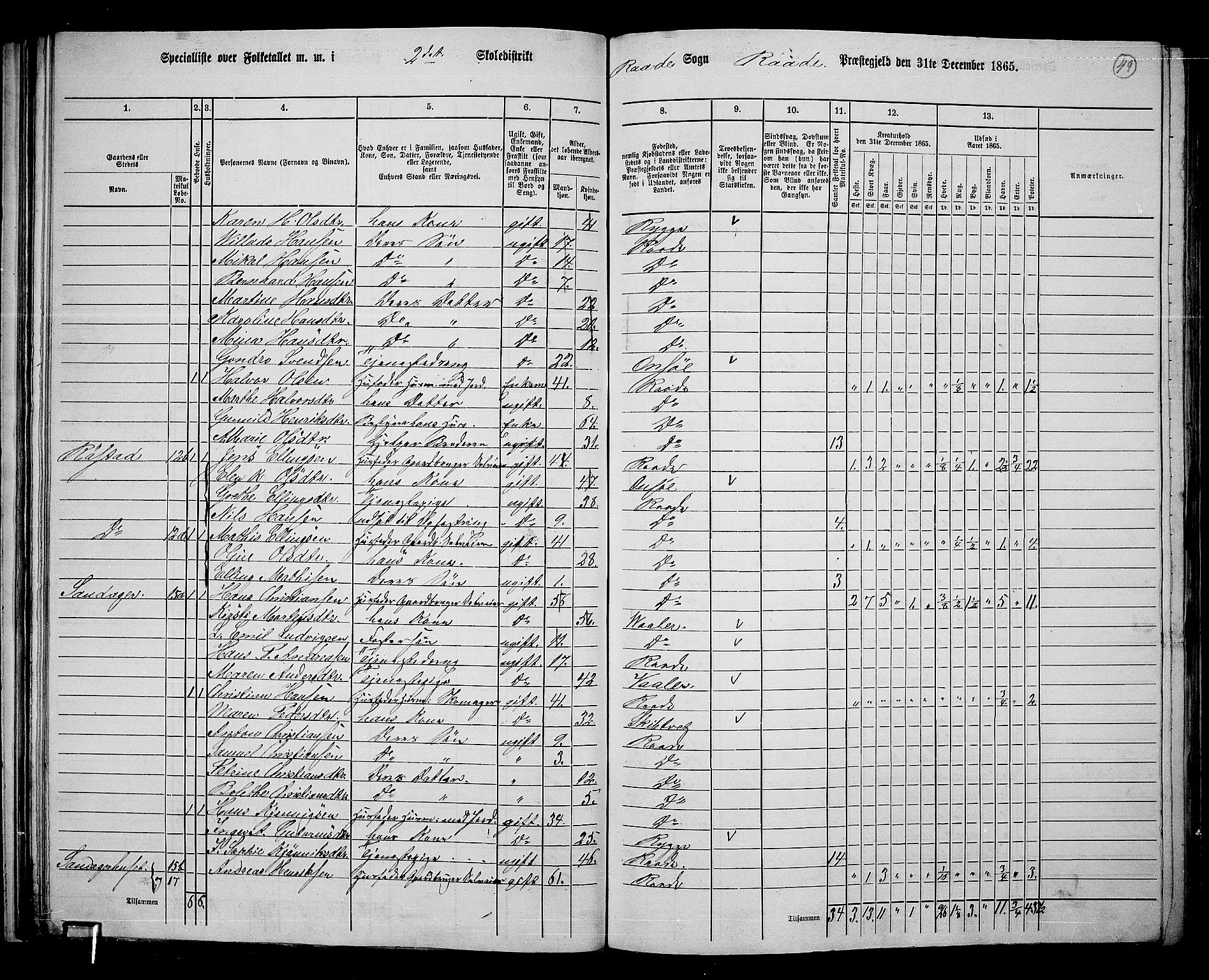 RA, 1865 census for Råde, 1865, p. 43