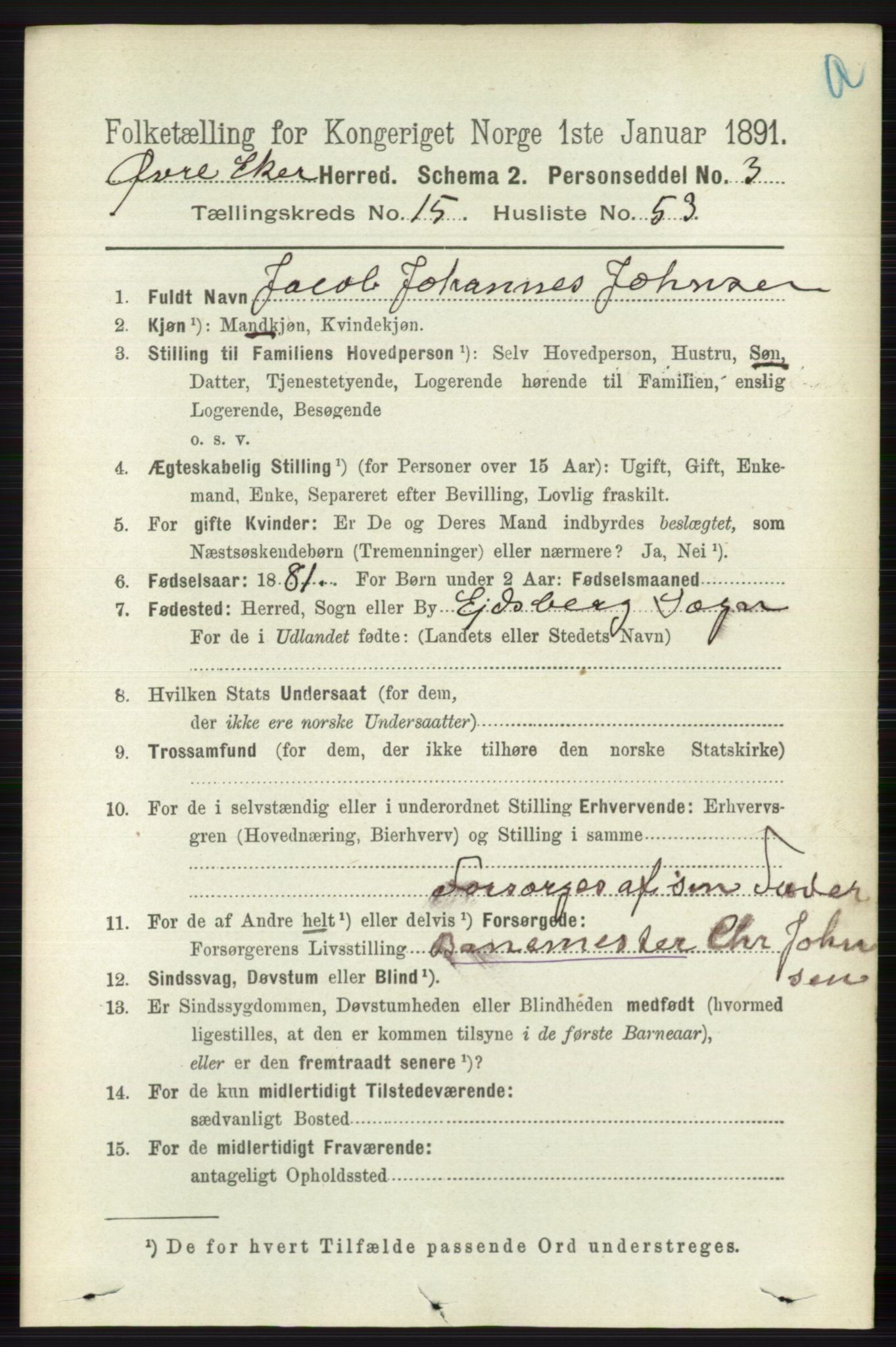 RA, 1891 census for 0624 Øvre Eiker, 1891, p. 7338