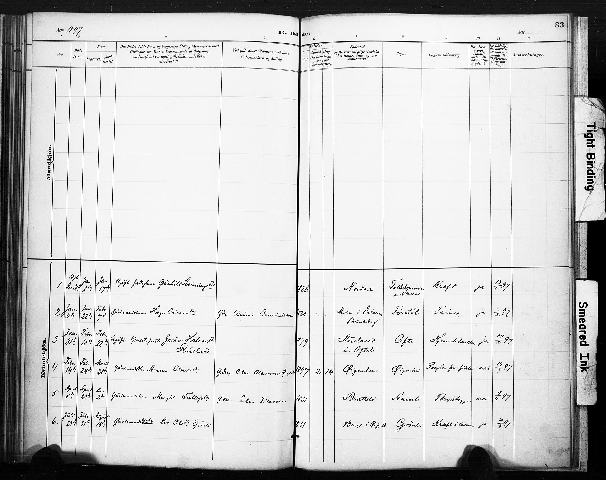 Lårdal kirkebøker, SAKO/A-284/F/Fc/L0002: Parish register (official) no. III 2, 1887-1906, p. 83