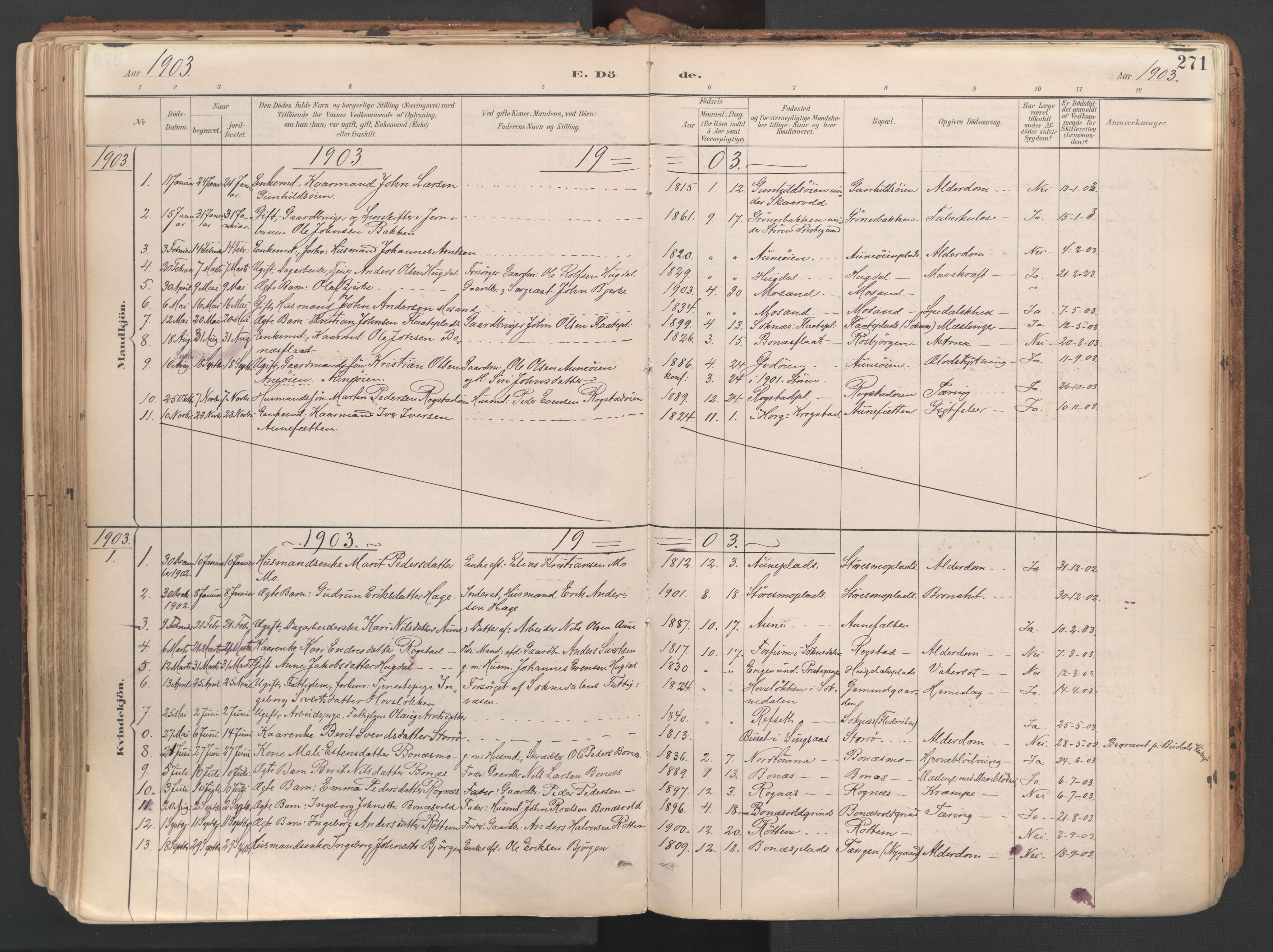 Ministerialprotokoller, klokkerbøker og fødselsregistre - Sør-Trøndelag, AV/SAT-A-1456/687/L1004: Parish register (official) no. 687A10, 1891-1923, p. 271