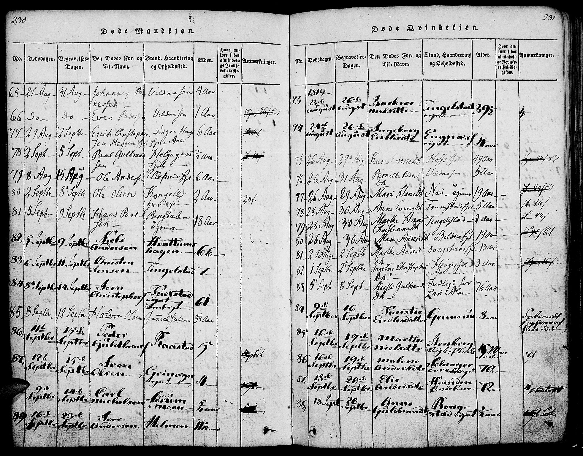 Gran prestekontor, AV/SAH-PREST-112/H/Ha/Haa/L0009: Parish register (official) no. 9, 1815-1824, p. 230-231