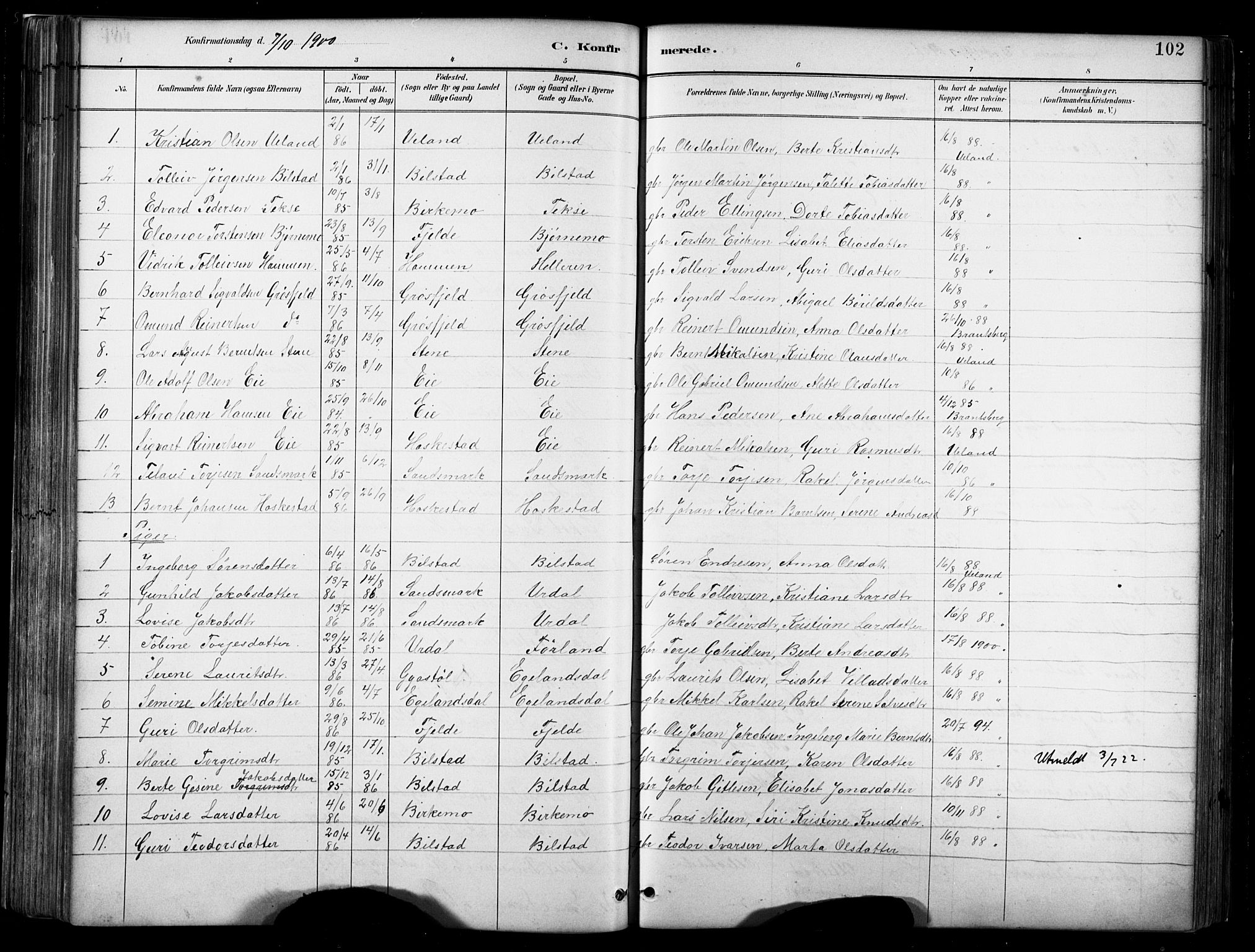 Lund sokneprestkontor, AV/SAST-A-101809/S06/L0012: Parish register (official) no. A 11, 1887-1921, p. 102