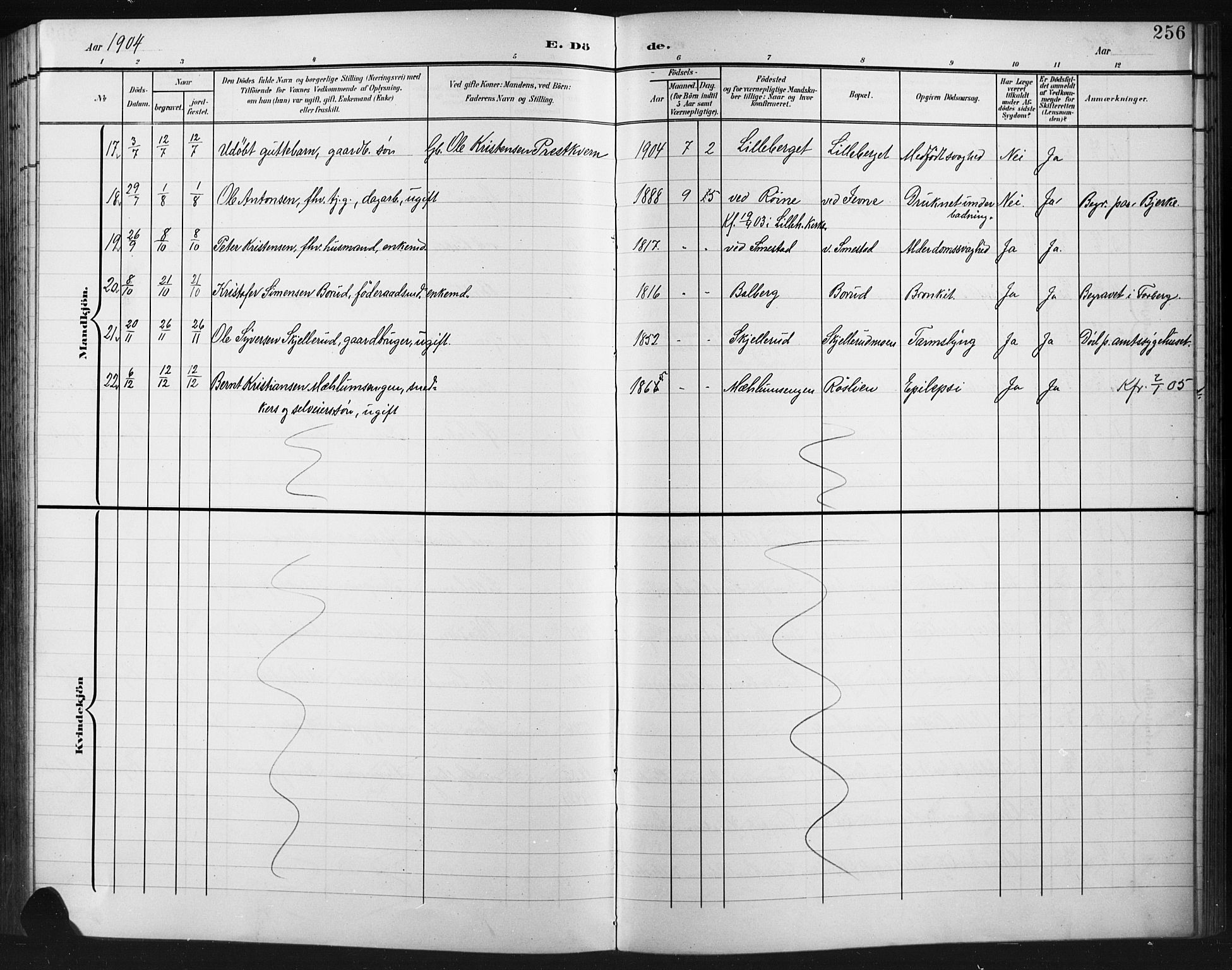 Fåberg prestekontor, AV/SAH-PREST-086/H/Ha/Hab/L0012: Parish register (copy) no. 12, 1903-1924, p. 256