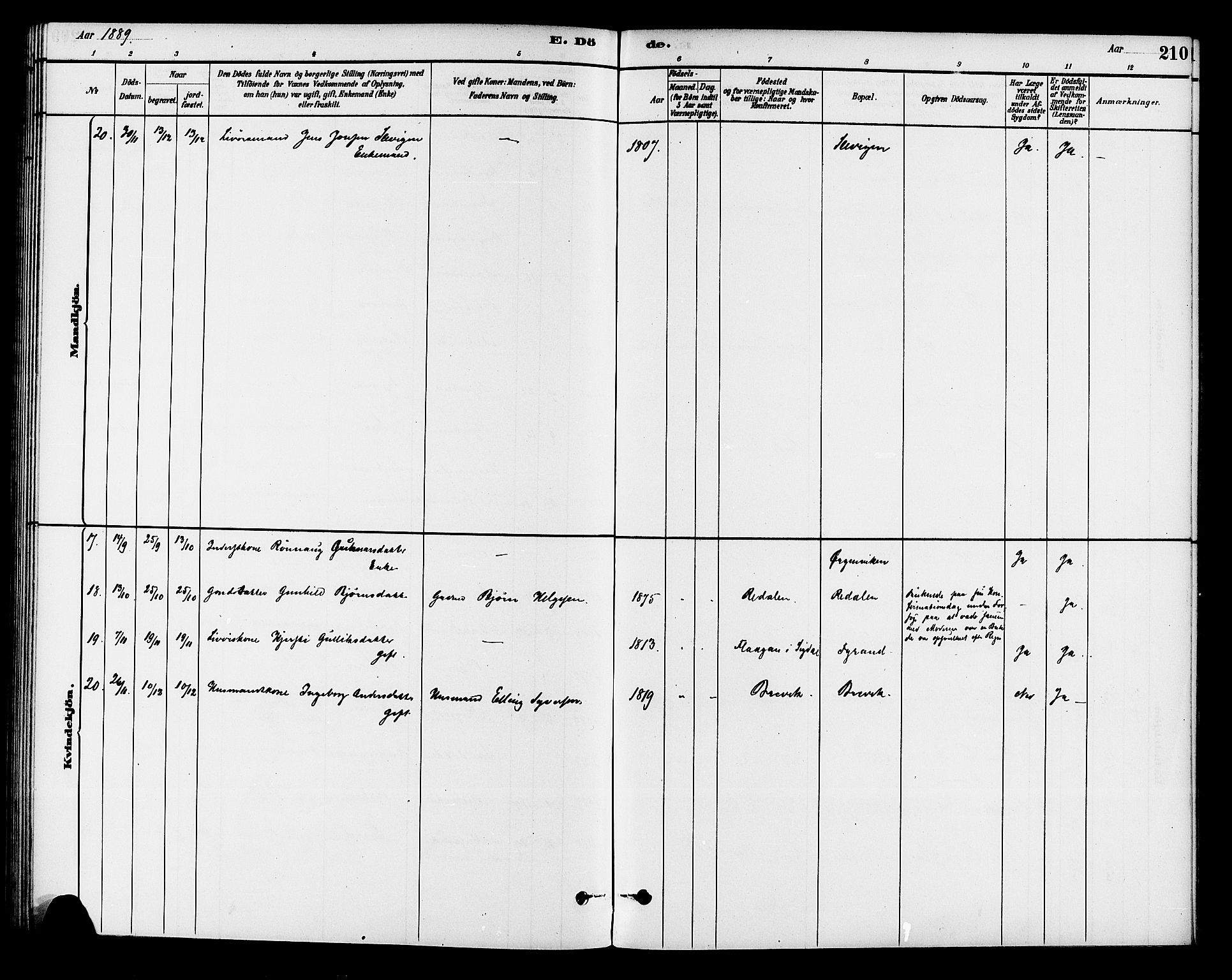 Krødsherad kirkebøker, AV/SAKO-A-19/G/Ga/L0001: Parish register (copy) no. 1, 1879-1893, p. 210