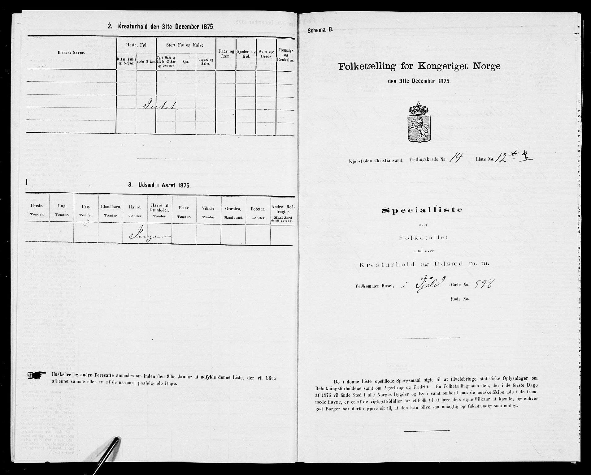 SAK, 1875 census for 1001P Kristiansand, 1875, p. 2198