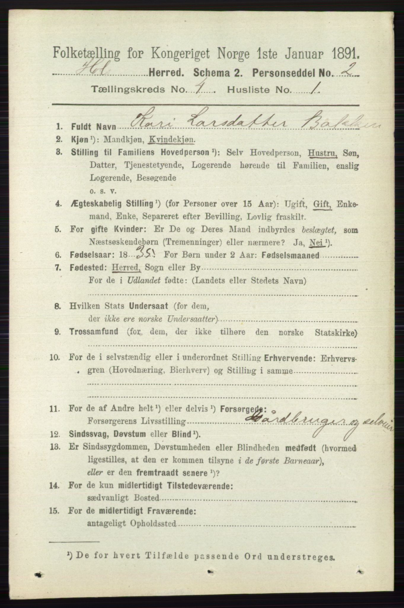 RA, 1891 census for 0620 Hol, 1891, p. 1258