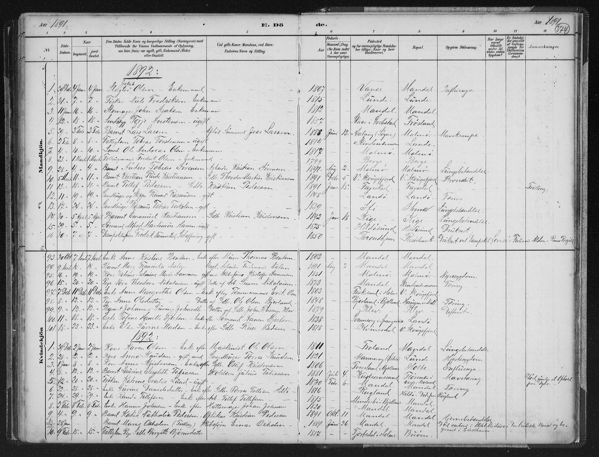 Mandal sokneprestkontor, SAK/1111-0030/F/Fb/Fba/L0011: Parish register (copy) no. B 5, 1880-1898, p. 374