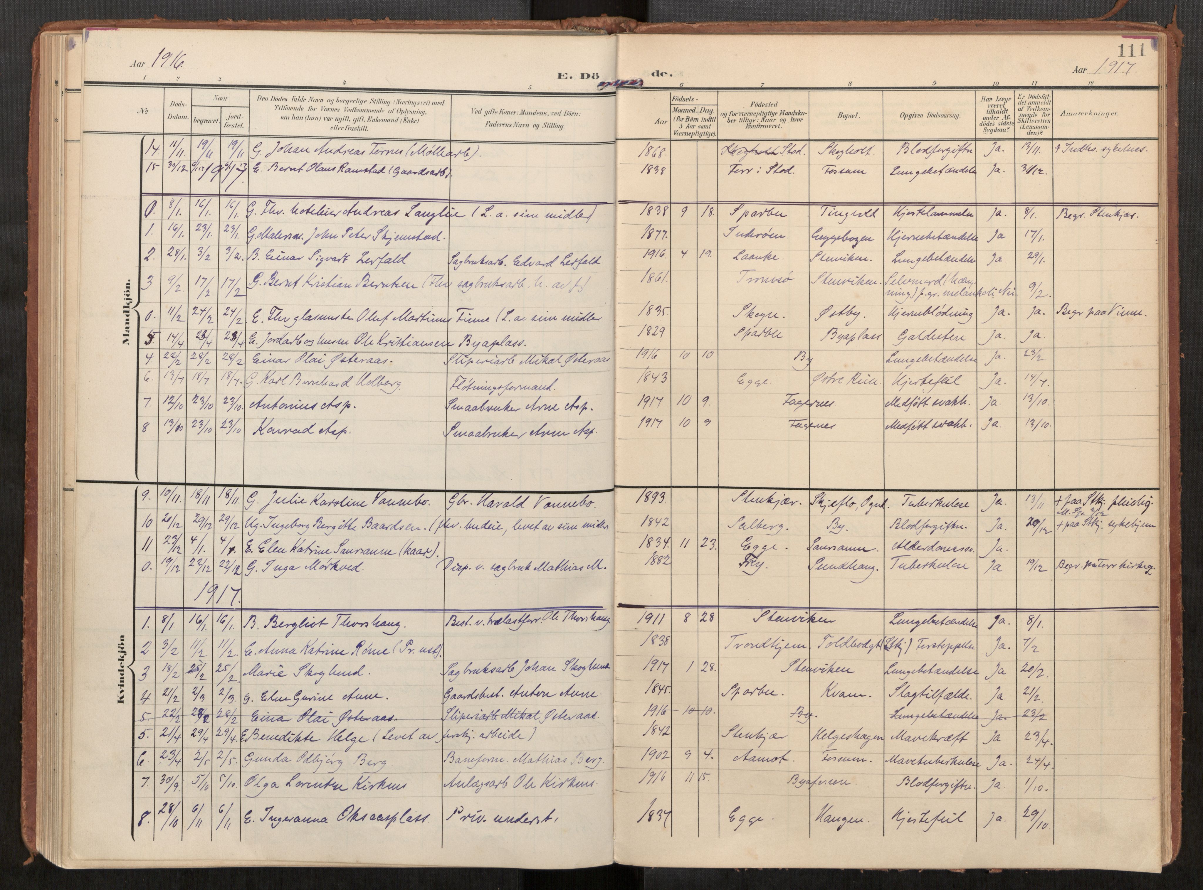 Steinkjer sokneprestkontor, SAT/A-1541/01/H/Ha/Haa/L0002: Parish register (official) no. 2, 1907-1917, p. 111