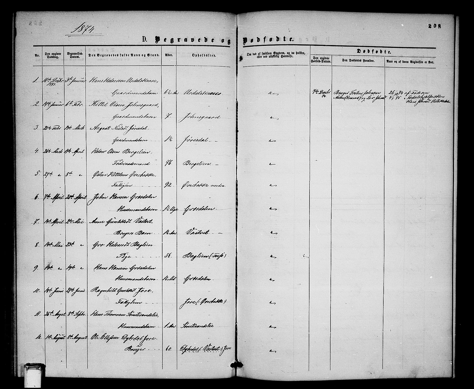Gransherad kirkebøker, SAKO/A-267/G/Gb/L0002: Parish register (copy) no. II 2, 1860-1886, p. 208