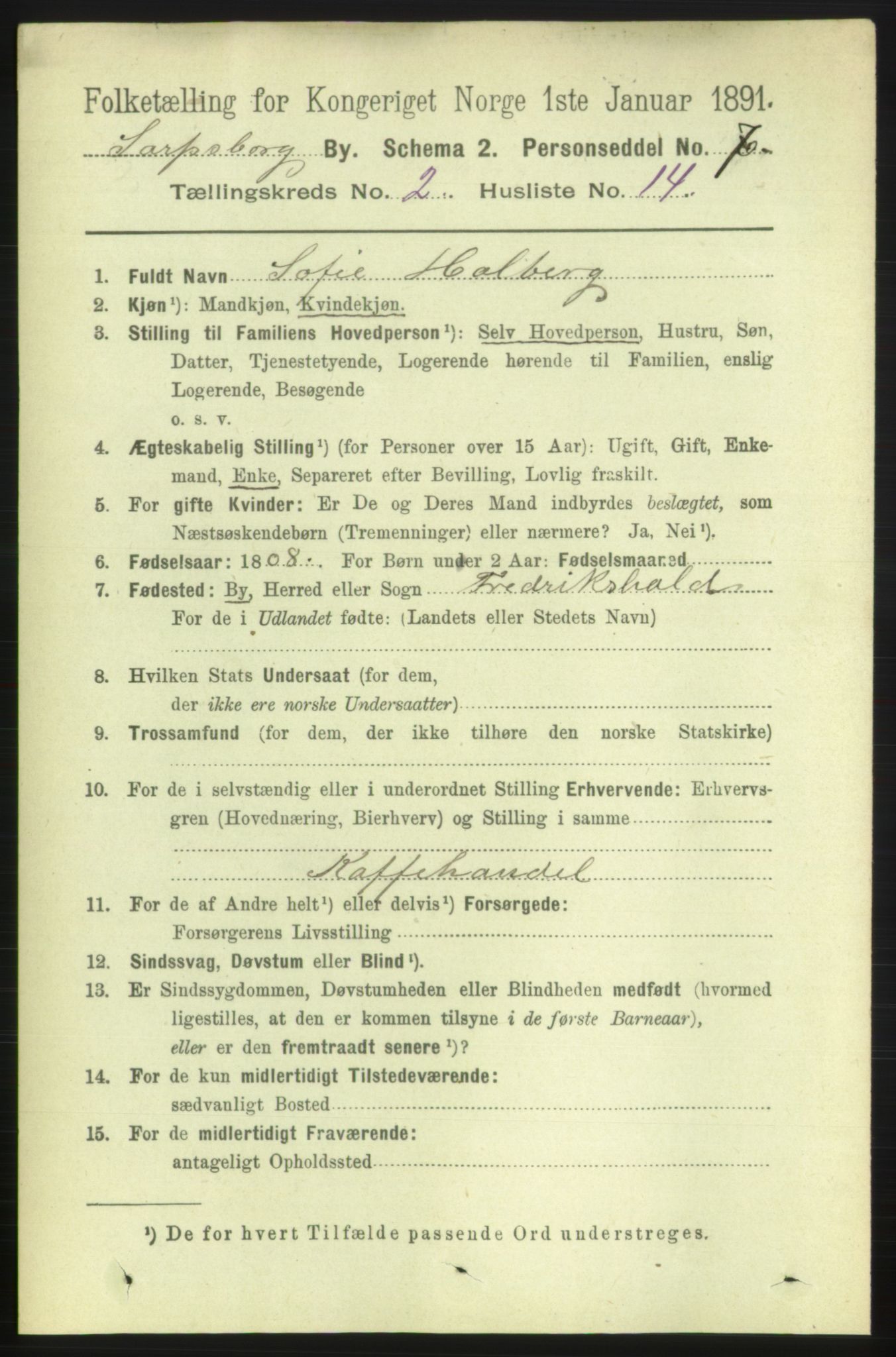 RA, 1891 census for 0102 Sarpsborg, 1891, p. 1379