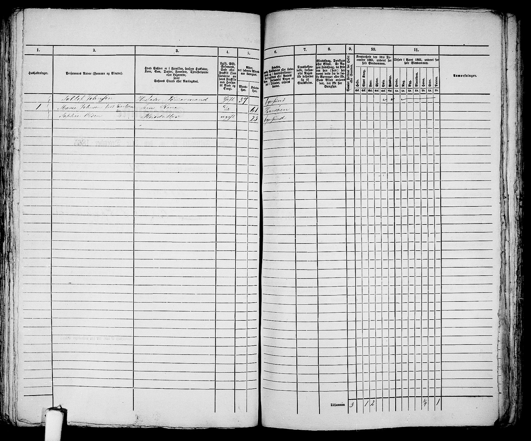 RA, 1865 census for Eigersund parish, Egersund town, 1865, p. 377