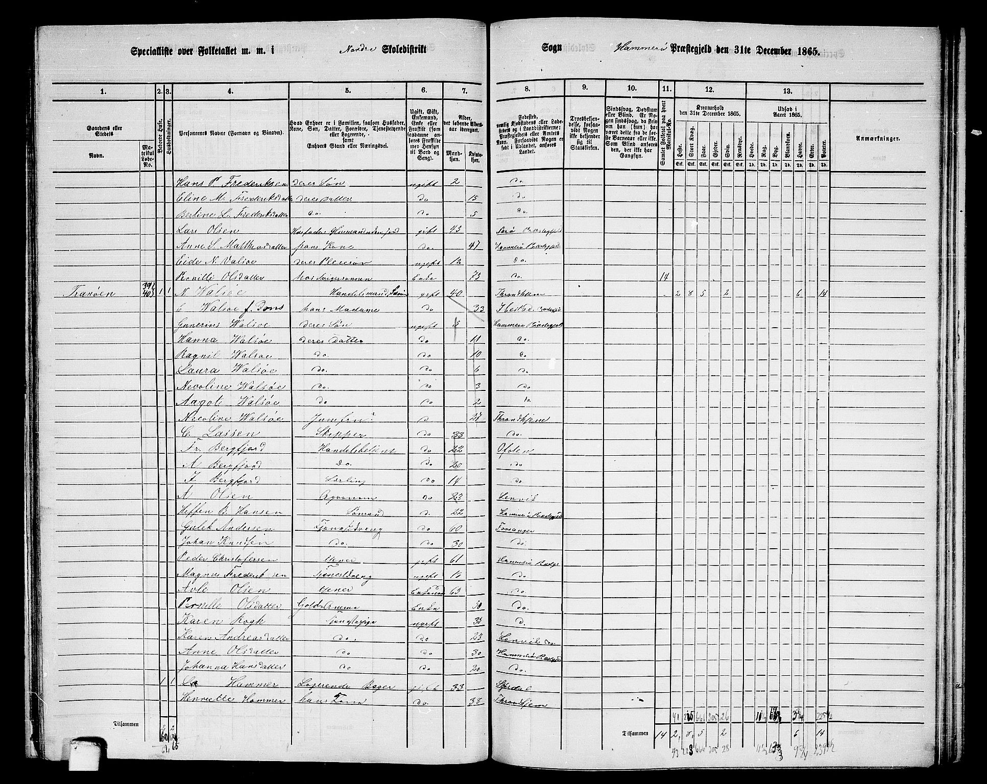 RA, 1865 census for Hamarøy, 1865, p. 20