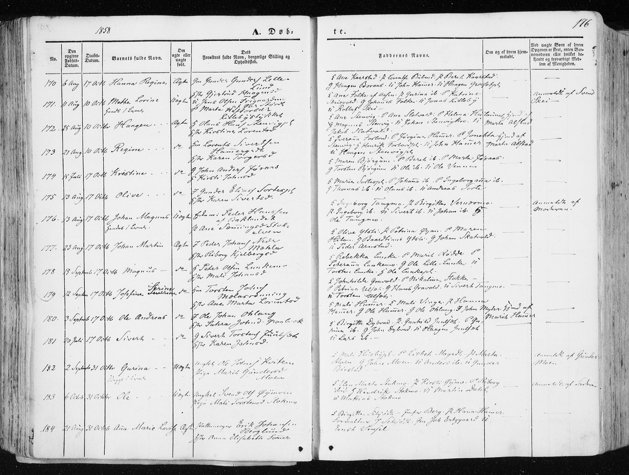 Ministerialprotokoller, klokkerbøker og fødselsregistre - Nord-Trøndelag, AV/SAT-A-1458/709/L0074: Parish register (official) no. 709A14, 1845-1858, p. 176