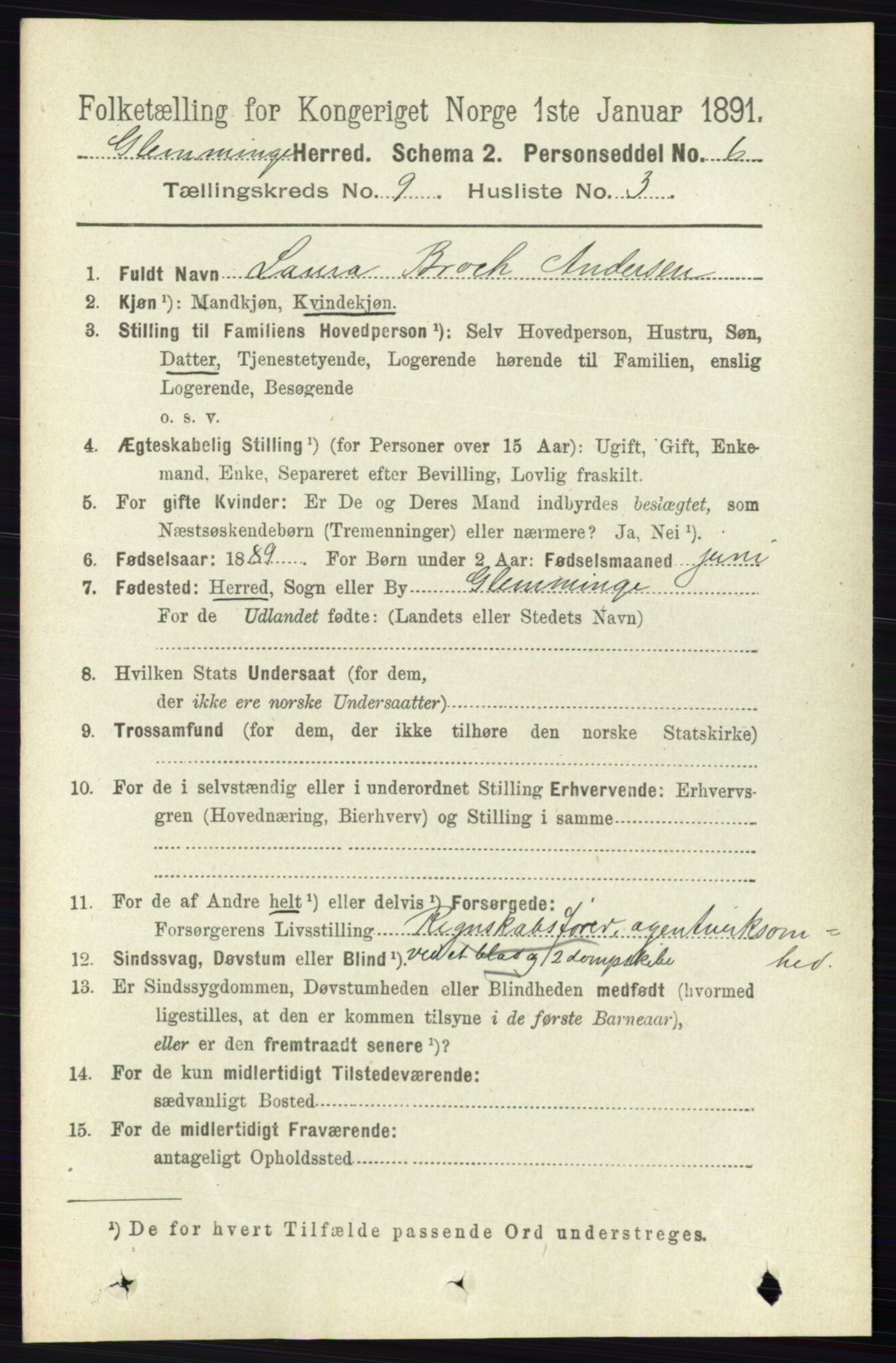 RA, 1891 census for 0132 Glemmen, 1891, p. 9602