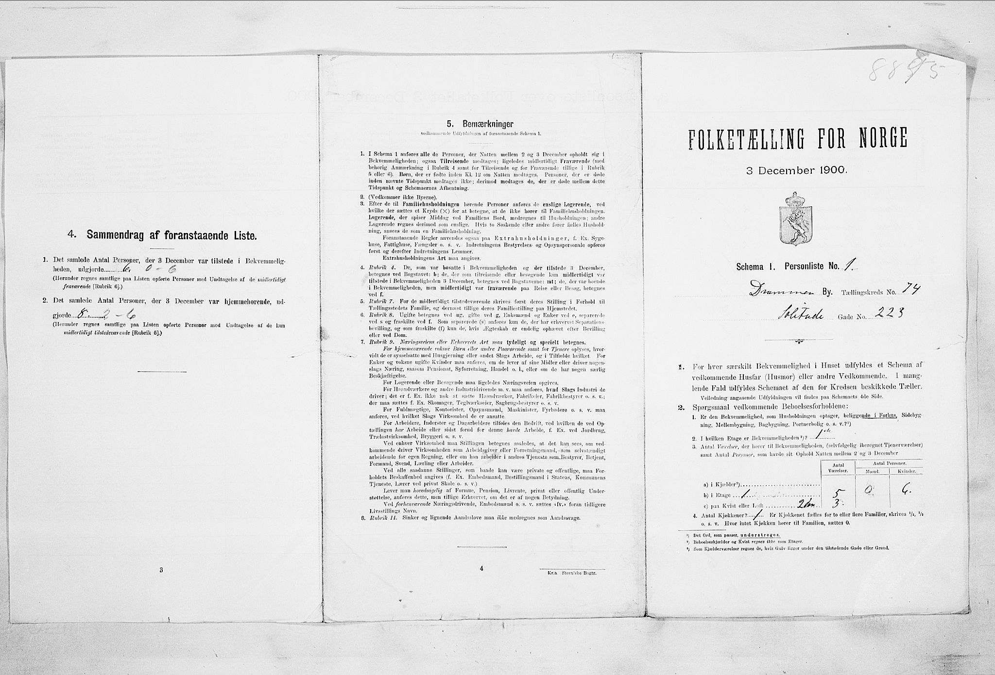 RA, 1900 census for Drammen, 1900, p. 12989