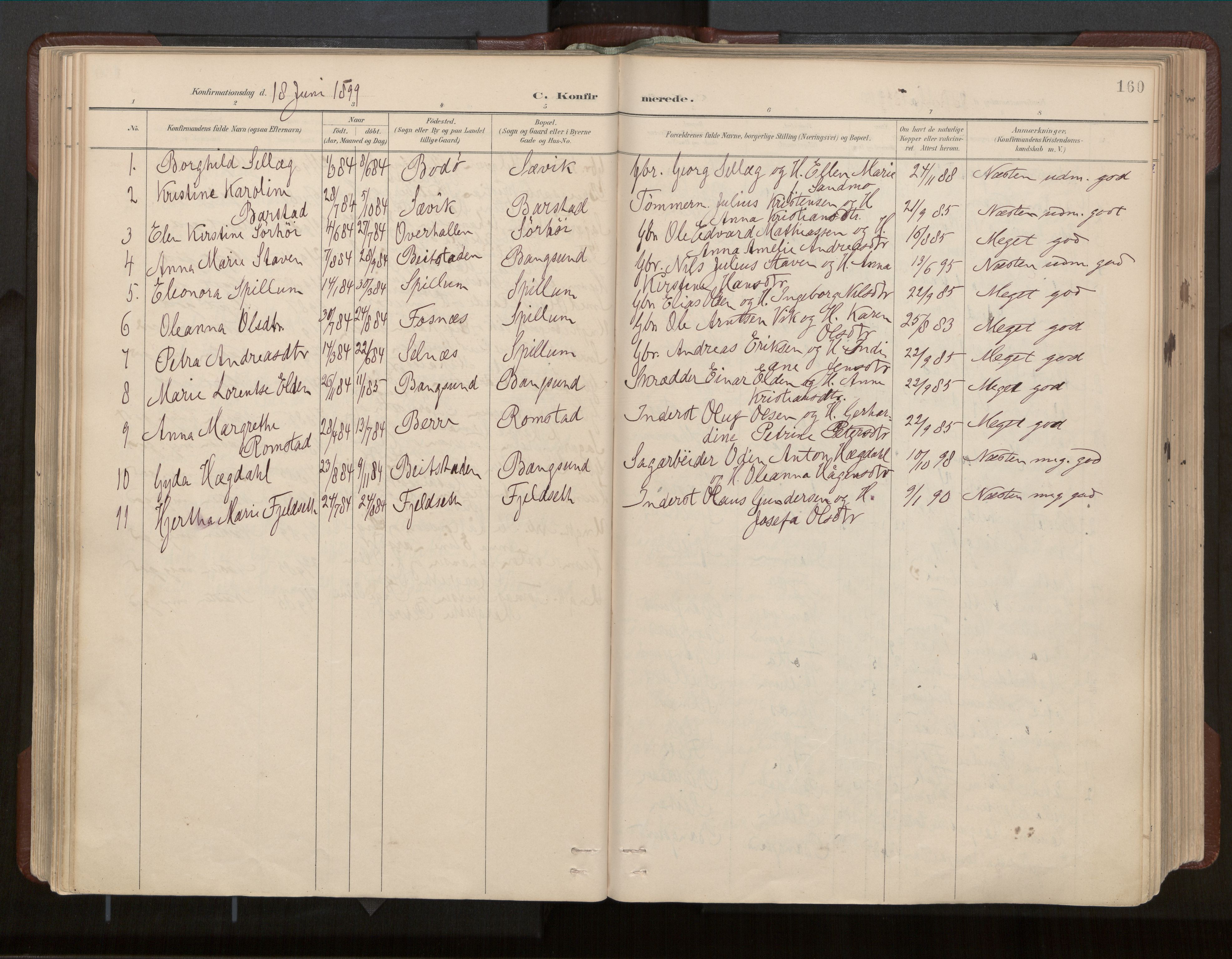 Ministerialprotokoller, klokkerbøker og fødselsregistre - Nord-Trøndelag, SAT/A-1458/770/L0589: Parish register (official) no. 770A03, 1887-1929, p. 160