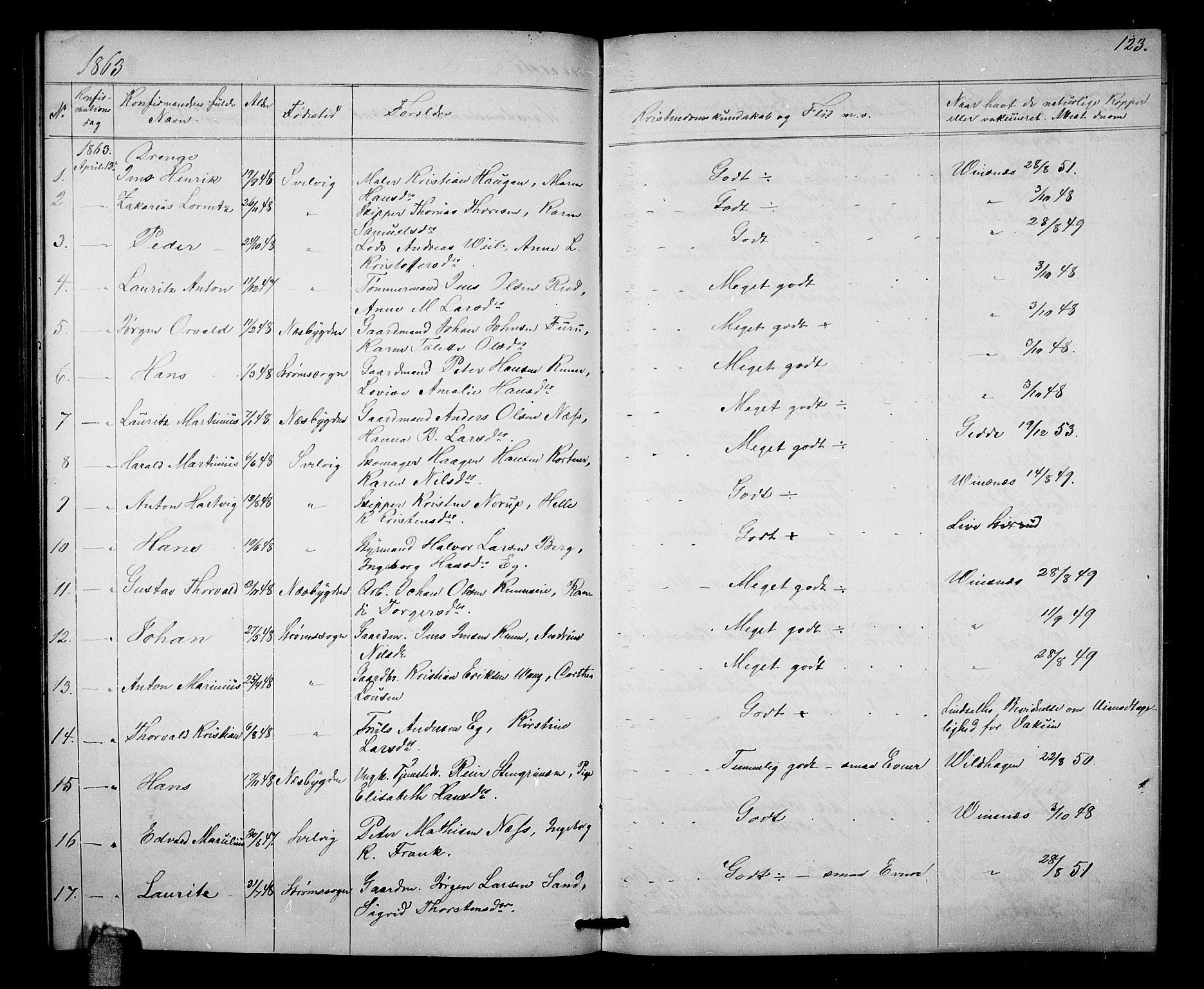 Strømm kirkebøker, AV/SAKO-A-322/G/Ga/L0001: Parish register (copy) no. I 1, 1861-1885, p. 123