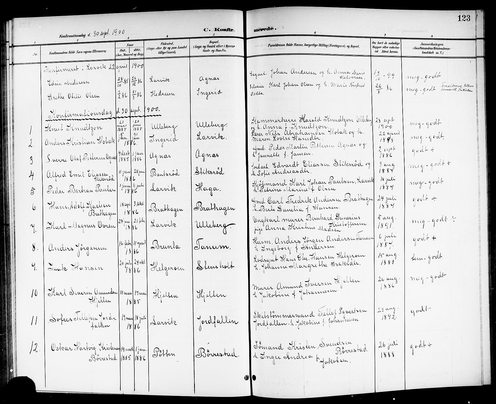 Brunlanes kirkebøker, SAKO/A-342/G/Ga/L0004: Parish register (copy) no. I 4, 1898-1921, p. 123