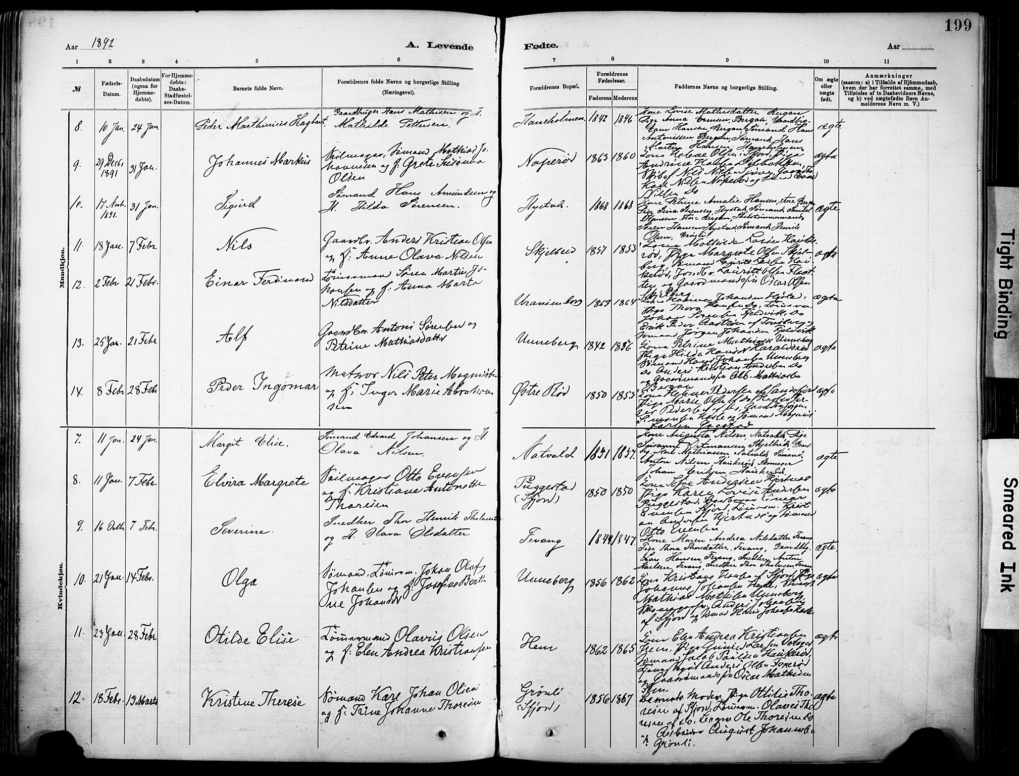 Sandar kirkebøker, AV/SAKO-A-243/F/Fa/L0012: Parish register (official) no. 12, 1883-1895, p. 199