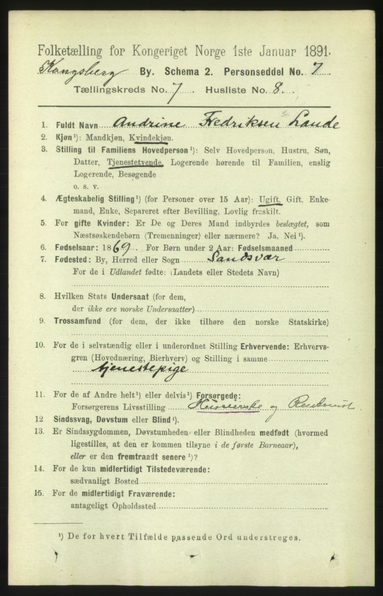 RA, 1891 census for 0604 Kongsberg, 1891, p. 5066