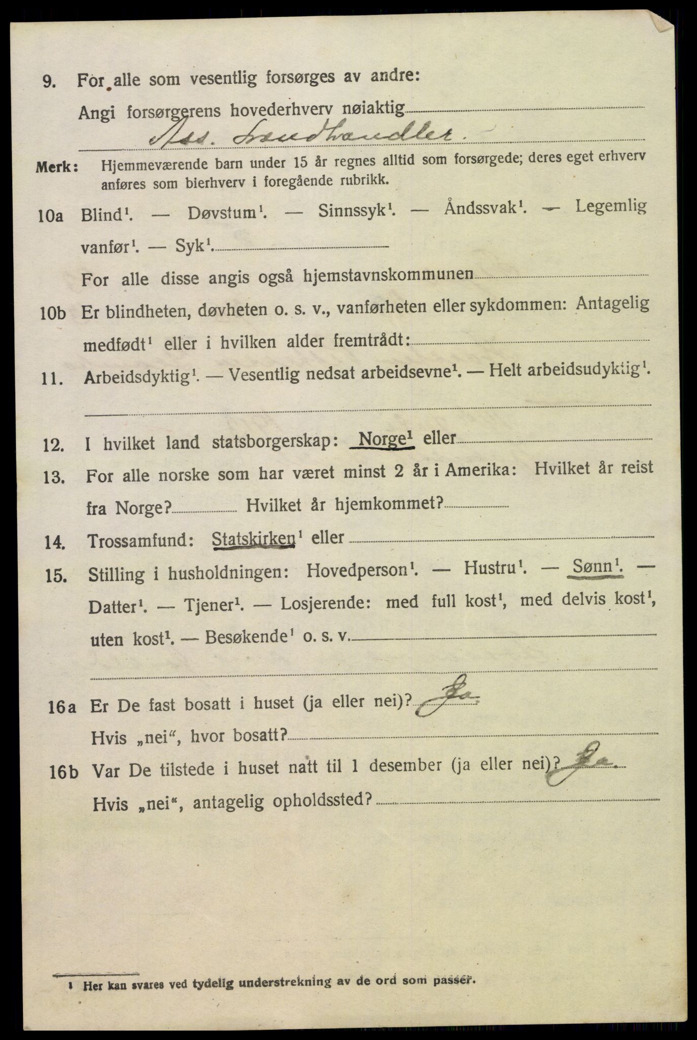 SAH, 1920 census for Trysil, 1920, p. 15196