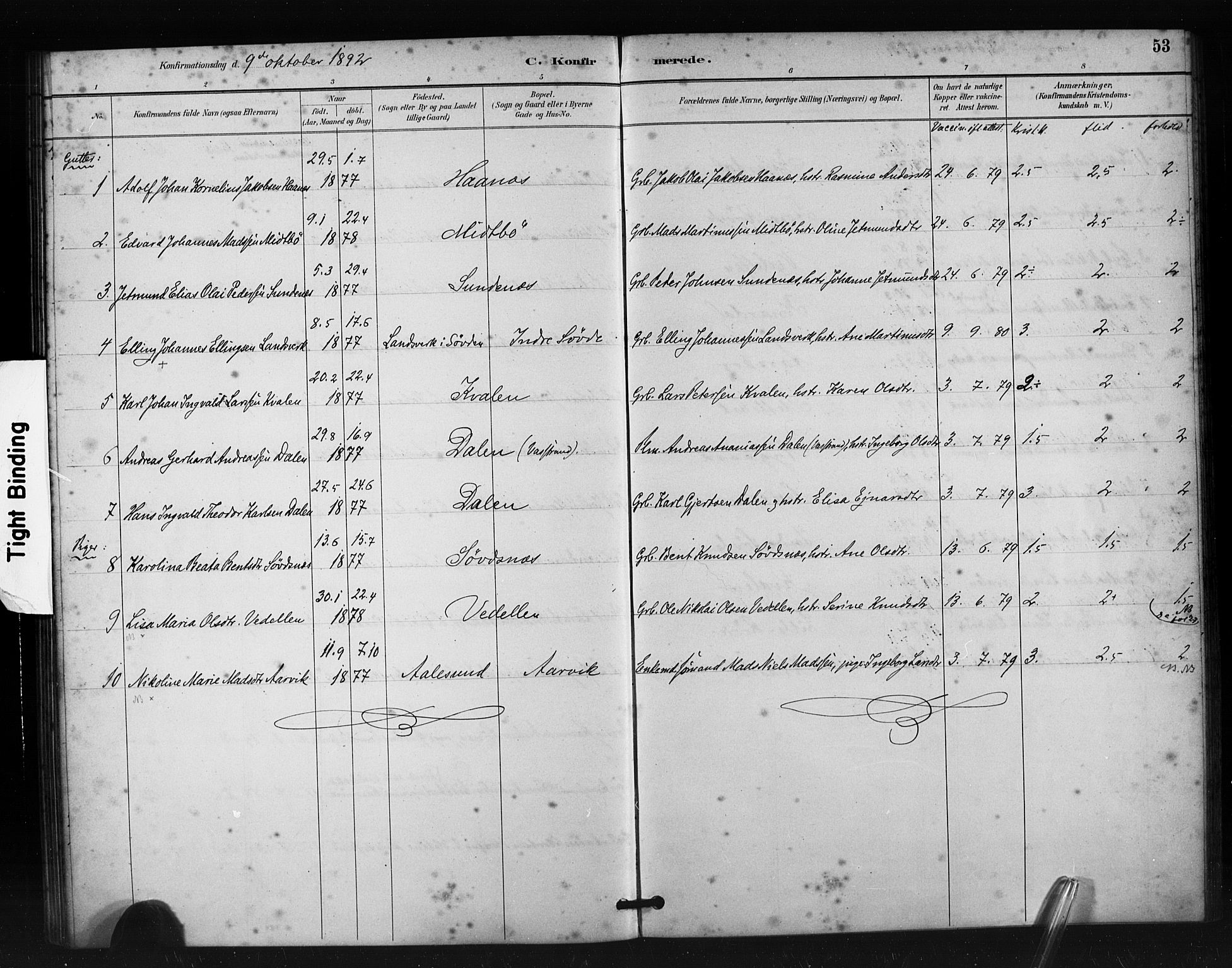 Ministerialprotokoller, klokkerbøker og fødselsregistre - Møre og Romsdal, AV/SAT-A-1454/504/L0056: Parish register (official) no. 504A03, 1884-1904, p. 53