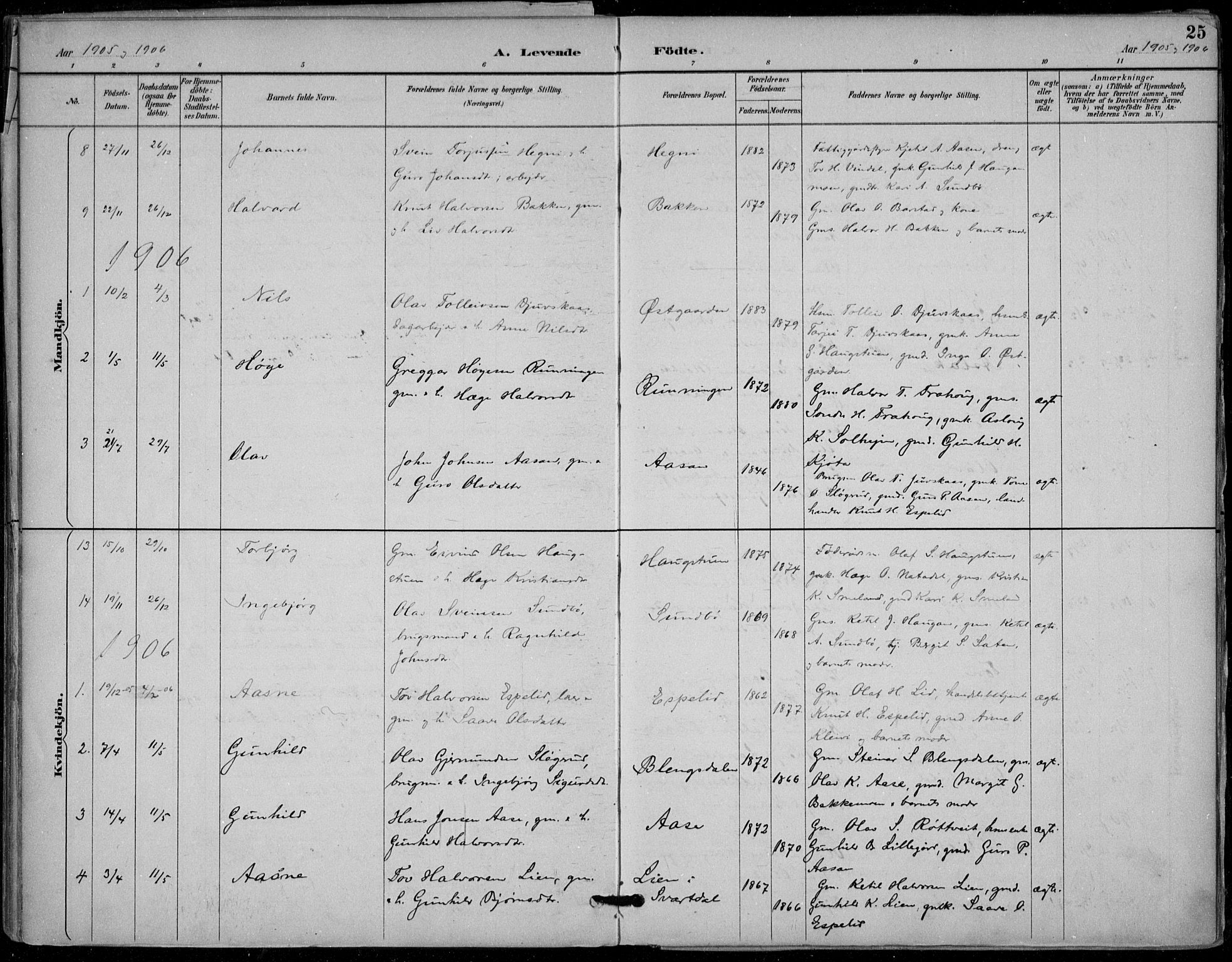 Seljord kirkebøker, SAKO/A-20/F/Fb/L0002: Parish register (official) no. II 2, 1887-1917, p. 25