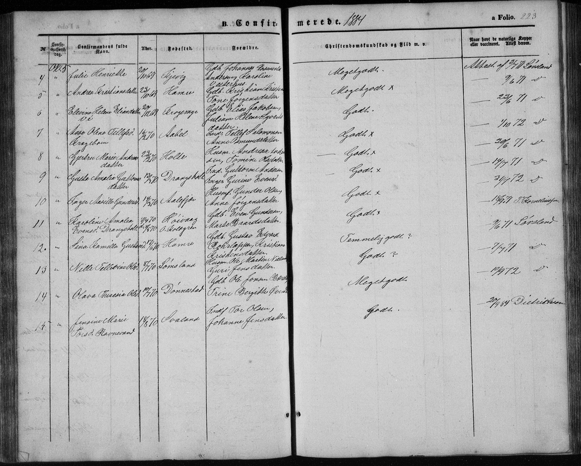 Tveit sokneprestkontor, AV/SAK-1111-0043/F/Fb/L0003: Parish register (copy) no. B 3, 1854-1886, p. 223