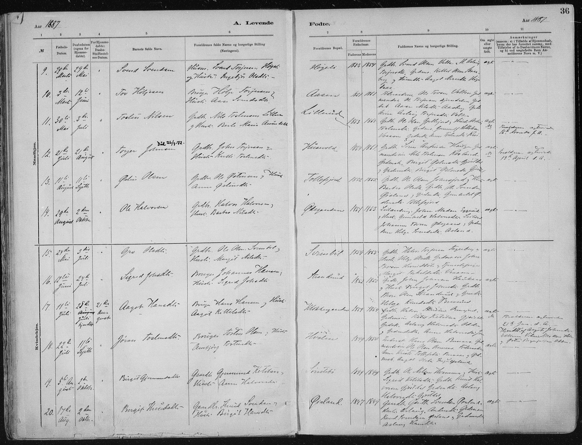 Tinn kirkebøker, AV/SAKO-A-308/F/Fa/L0007: Parish register (official) no. I 7, 1878-1922, p. 36