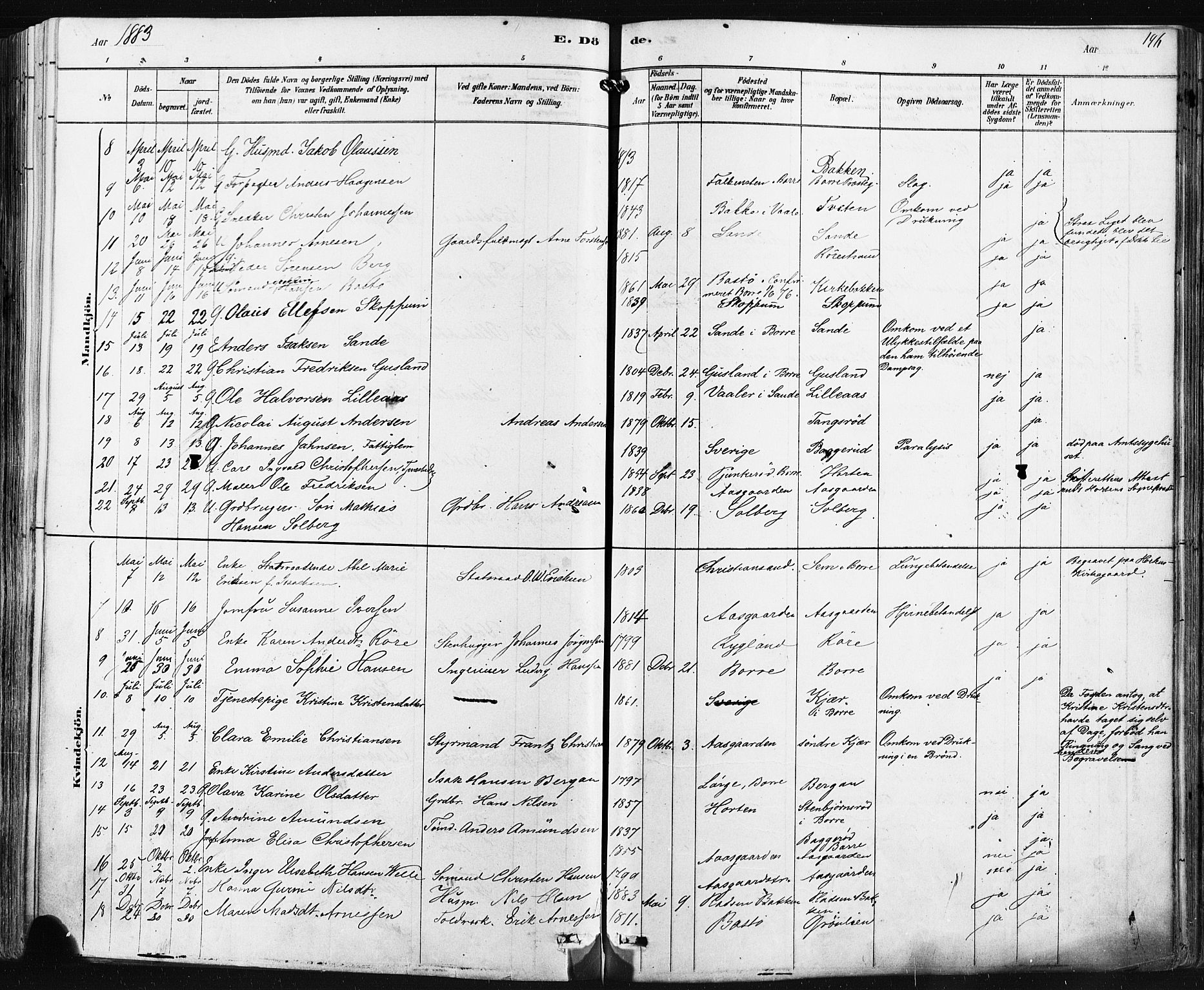 Borre kirkebøker, SAKO/A-338/F/Fa/L0009: Parish register (official) no. I 9, 1878-1896, p. 196
